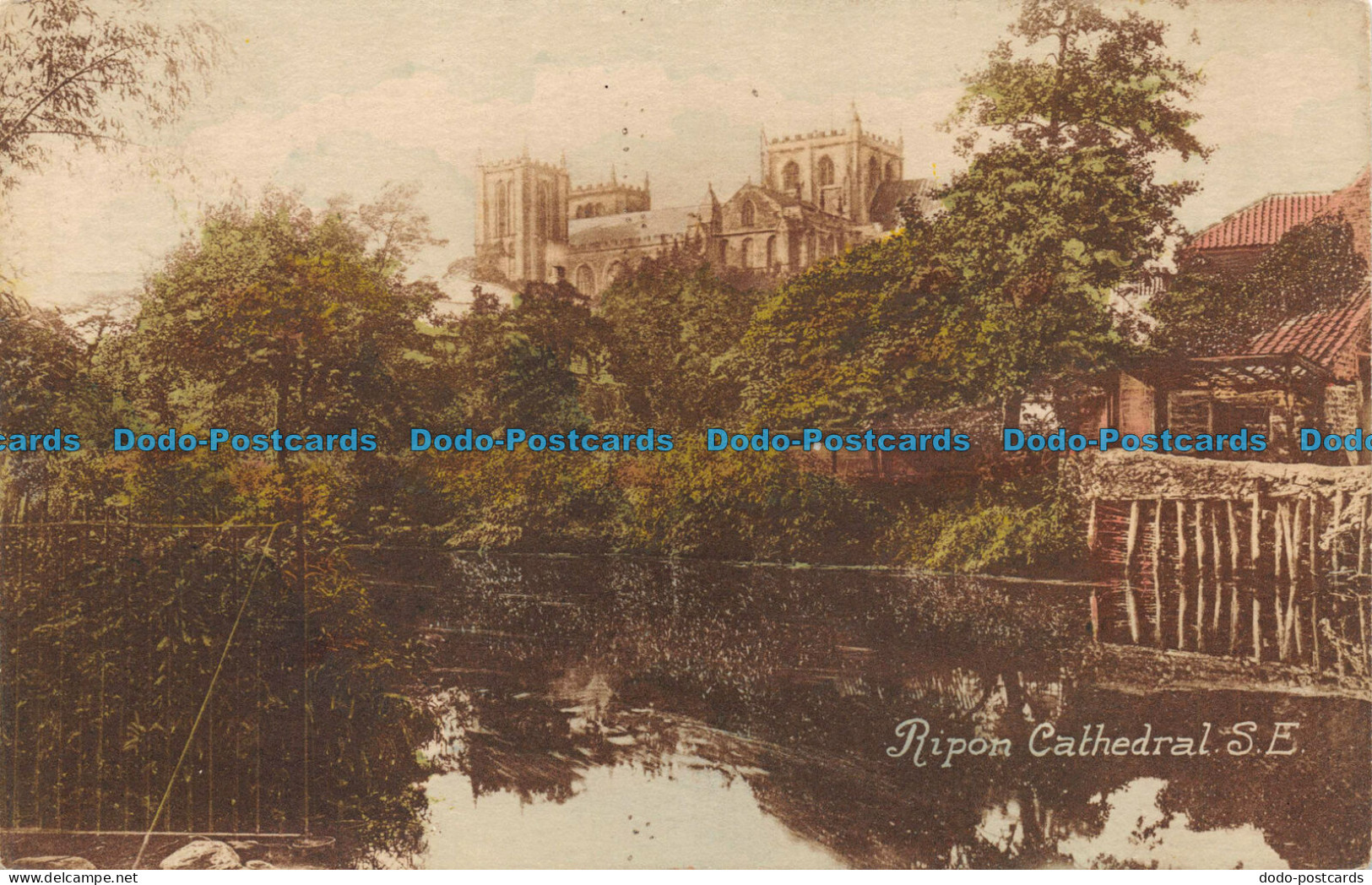 R078660 Ripon Cathedral. S. E. Friths Series. No. 18317 - World