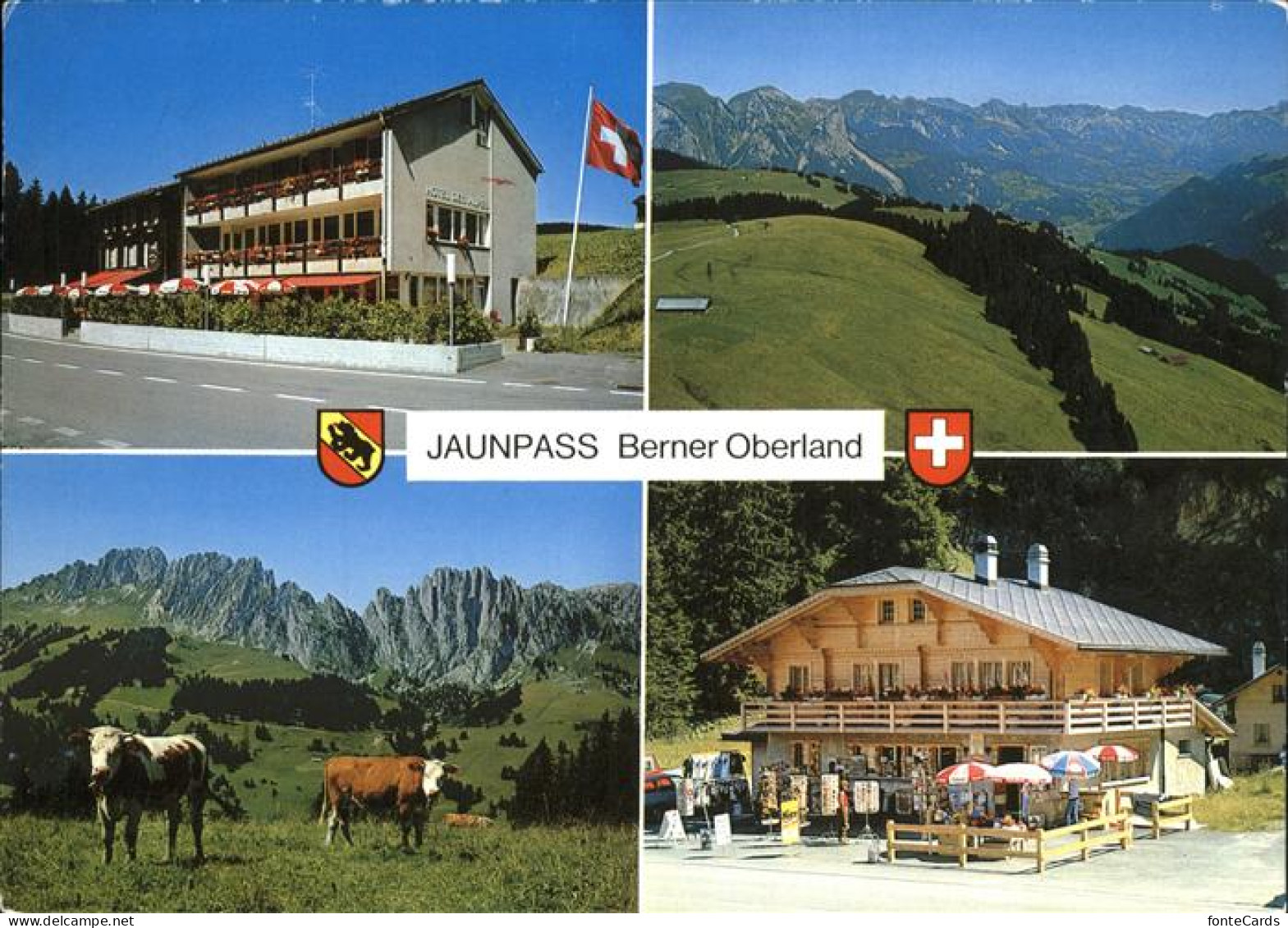 11456434 Jaunpass Hotel Des Alpes Jaunpass - Andere & Zonder Classificatie