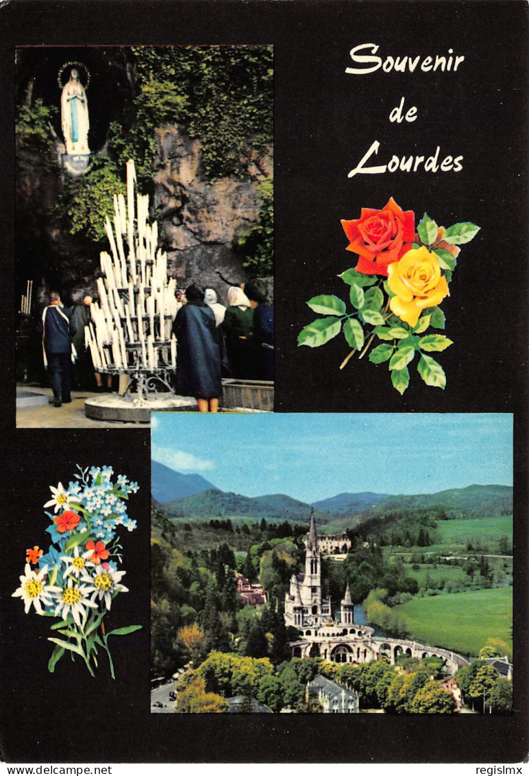 65-LOURDES-N°T2552-A/0317 - Lourdes