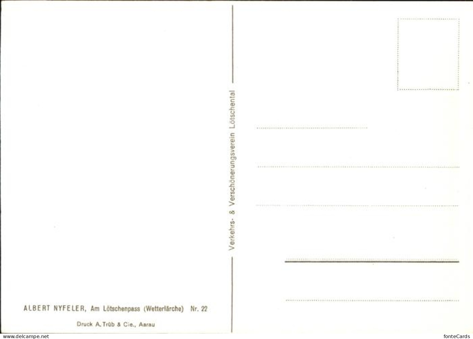 11456205 Loetschenpass Wetterlaerche Loetschenpass - Autres & Non Classés