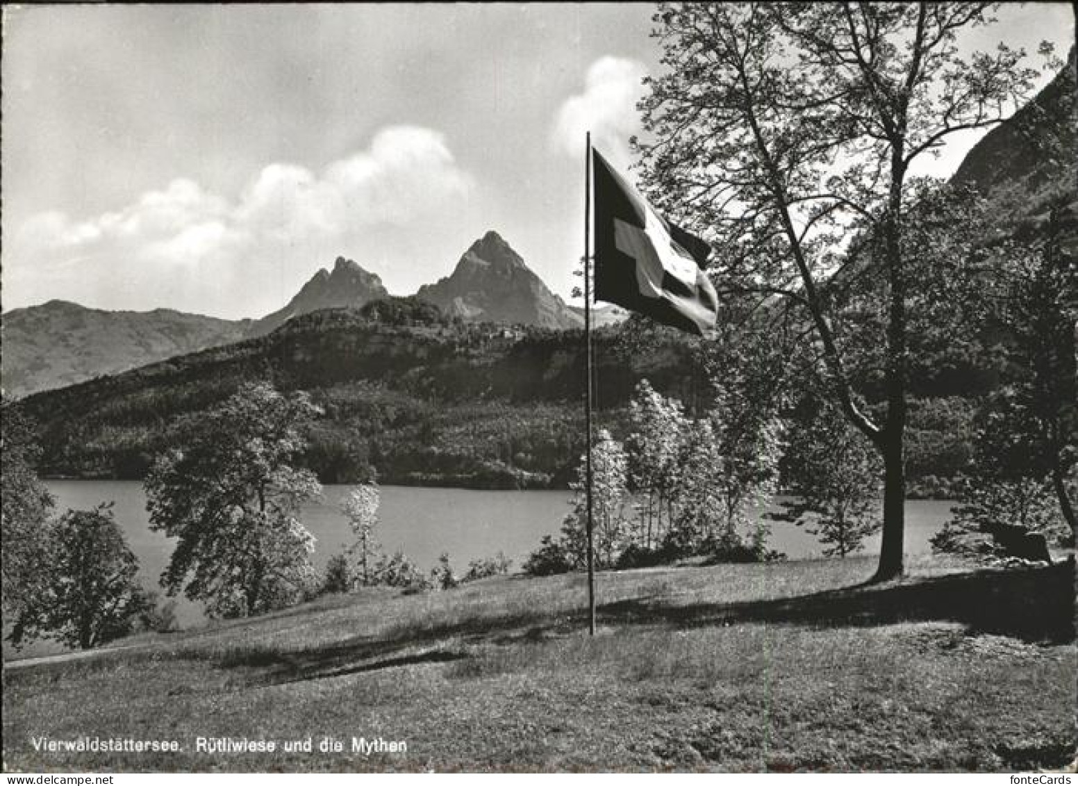 11451918 Ruetli Vierwaldstaettersee Ruetliwiese Und Die Mythen Vierwaldstaetters - Altri & Non Classificati