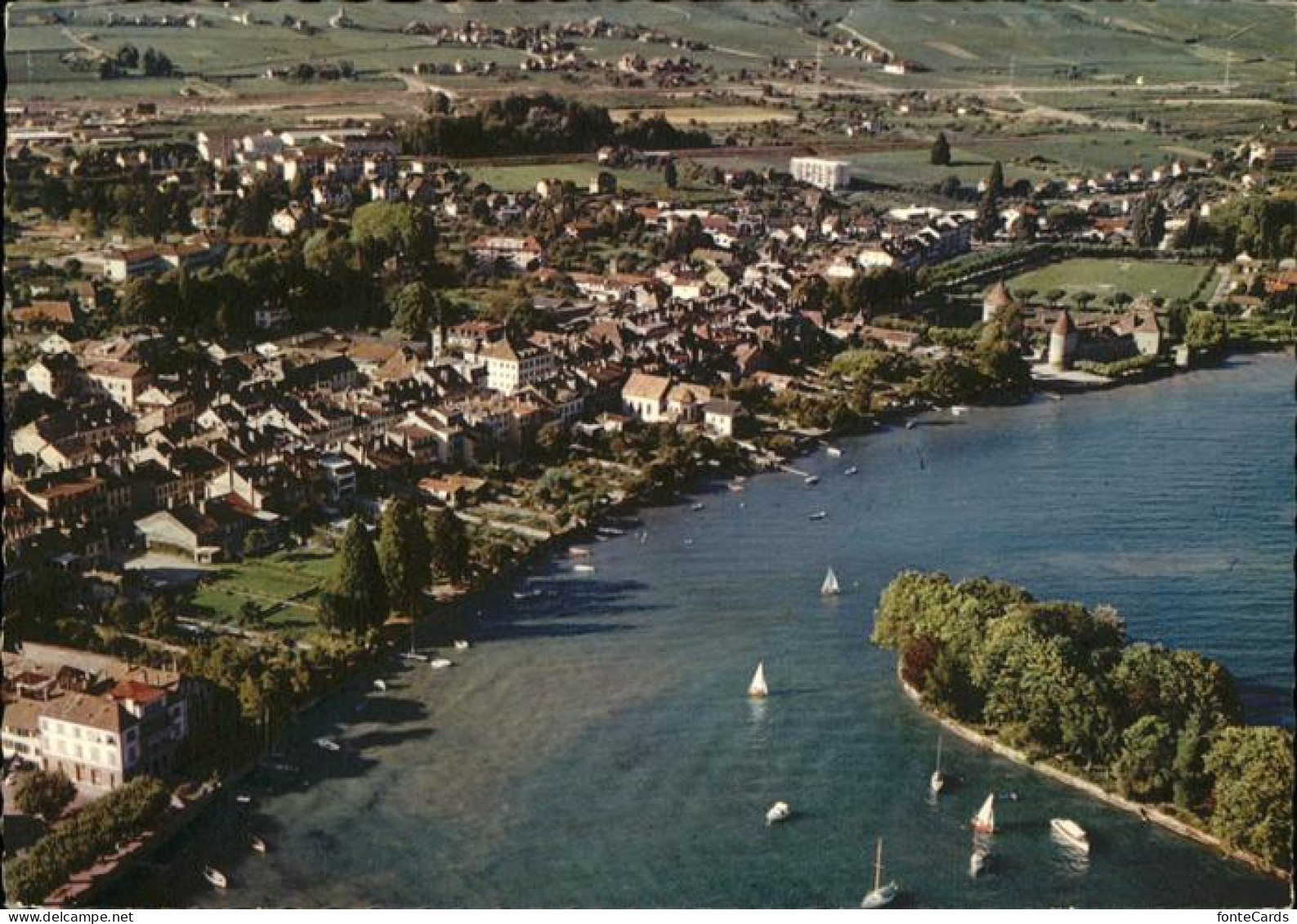 11451835 Rolle Vaud Vue Aerienne Lac Leman Rolle Vaud - Andere & Zonder Classificatie