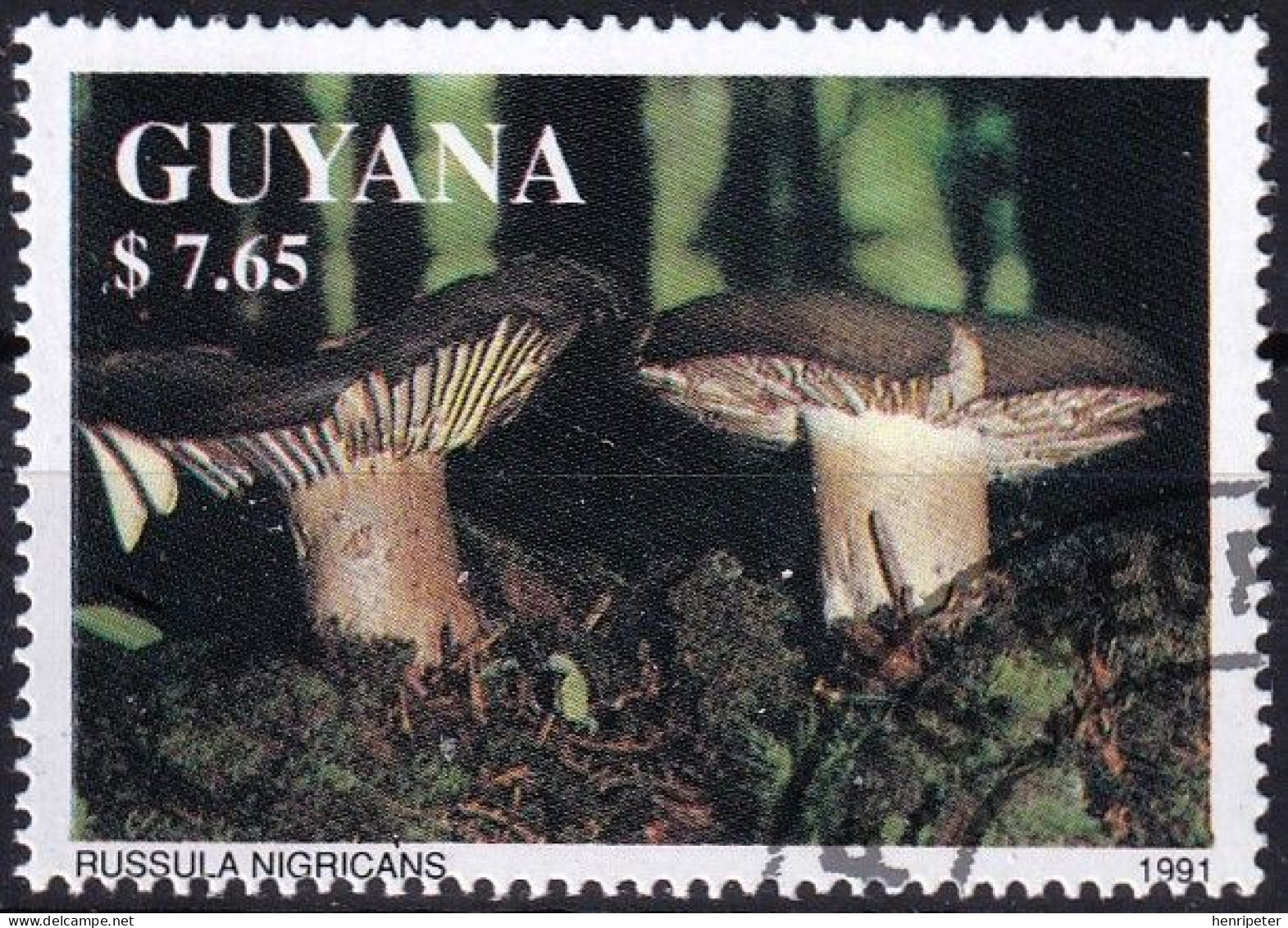 Timbre-poste Dentelé Oblitéré - Champignons Russule Noircissante Russula Nigricans - N° 3681 (Michel) - Guyana 1991 - Guiana (1966-...)