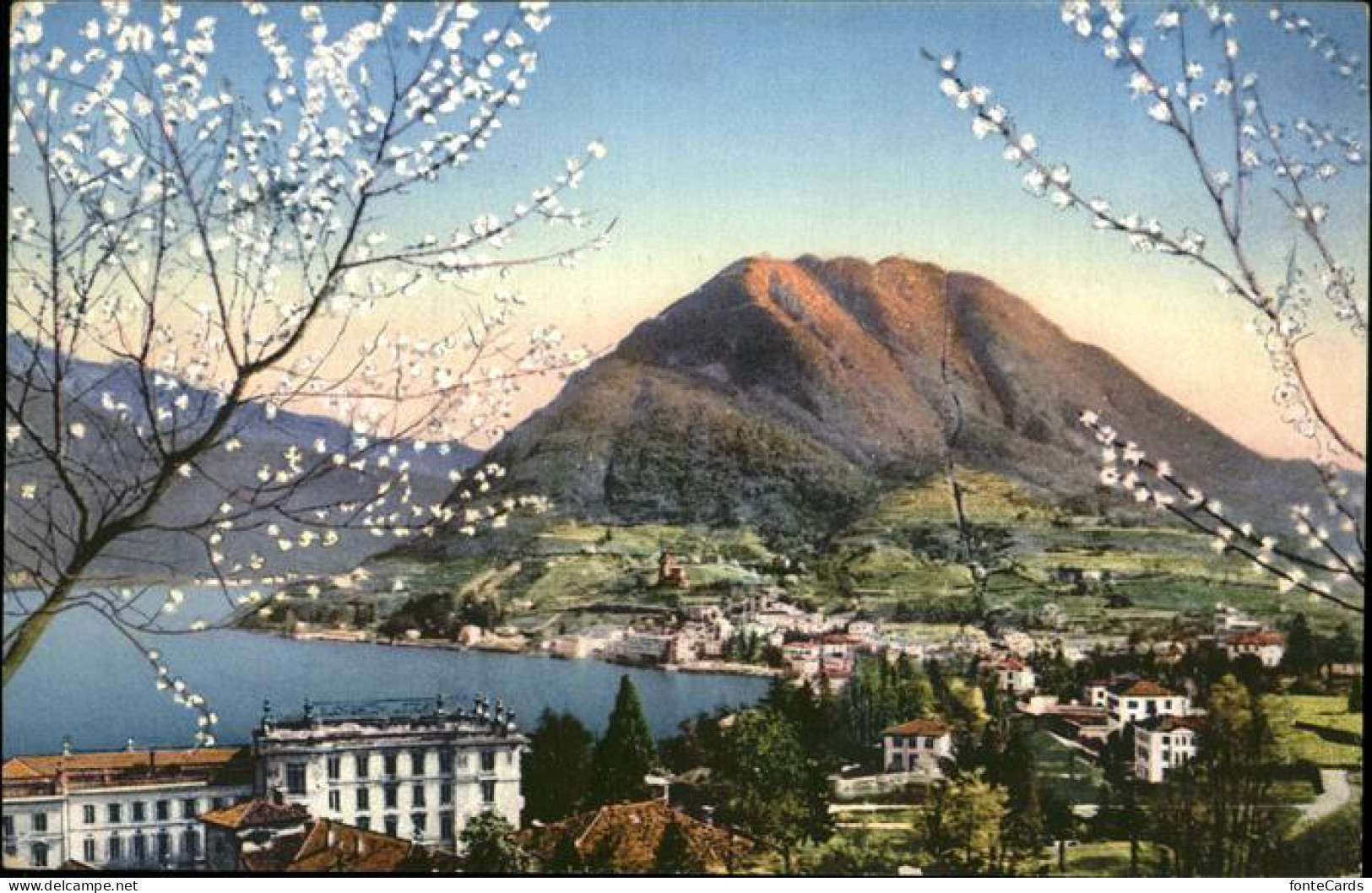 11451502 Lugano TI Panorama Monte San Salvatore Lago Baumbluete Lugano - Andere & Zonder Classificatie