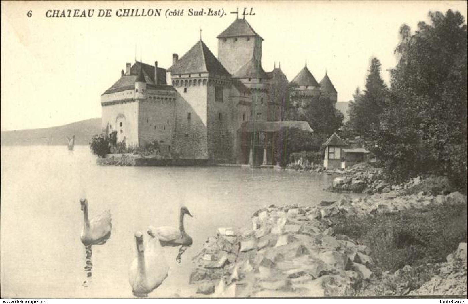 11442581 Chillon Chateau De Chillon Lac Leman Schwan Montreux - Sonstige & Ohne Zuordnung