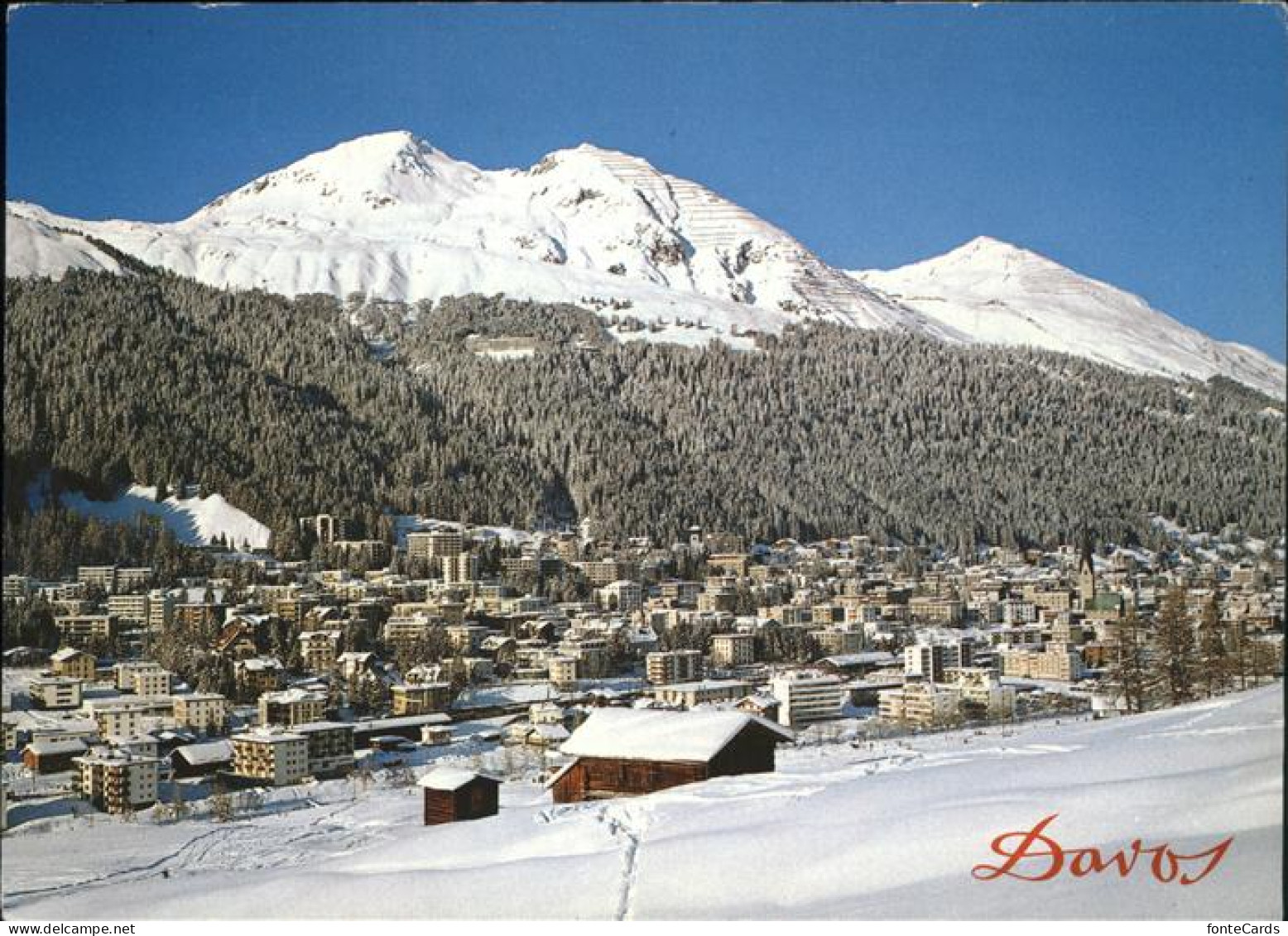 11439154 Davos GR Panorama Im Schnee Schatzalp Strela Schiahorn Davos Platz - Otros & Sin Clasificación