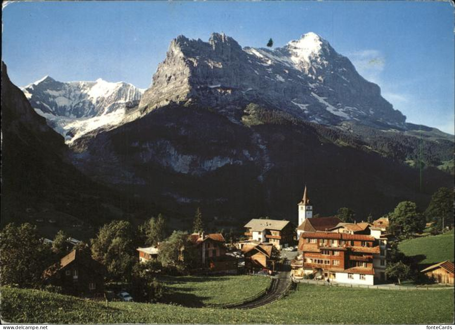 11438753 Grindelwald Panorama Fiescherhoerner Eiger Grindelwald - Autres & Non Classés