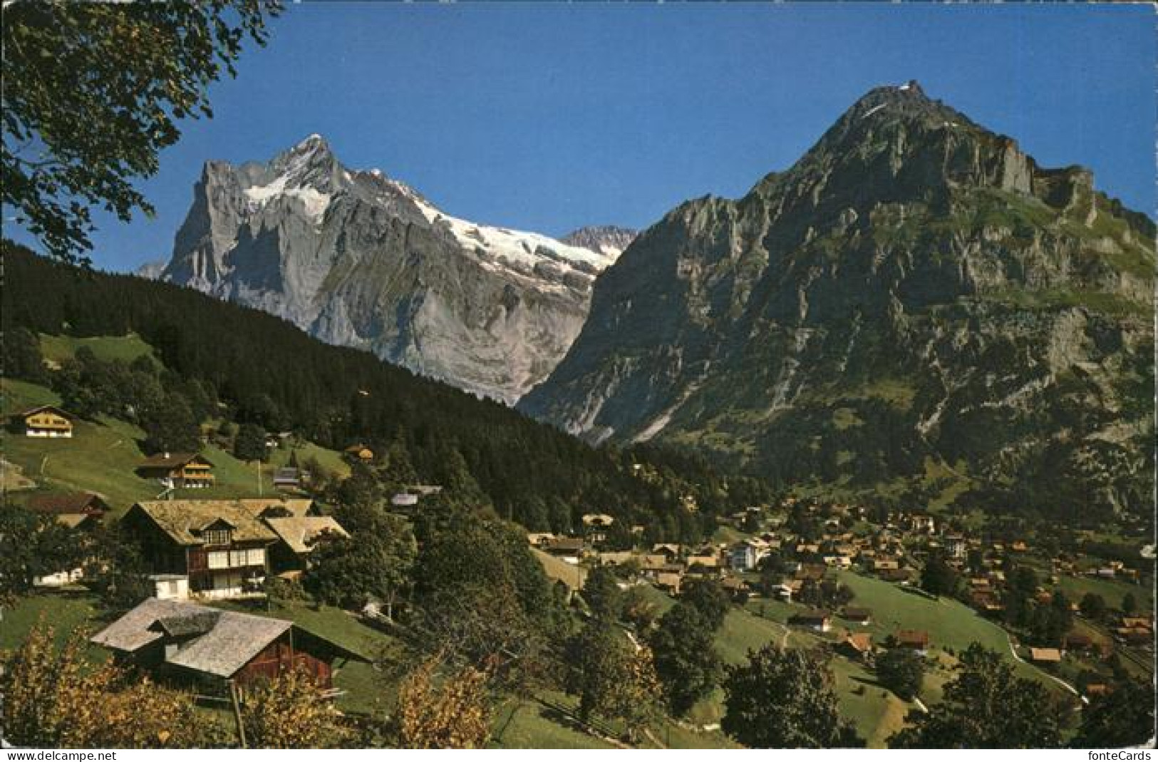 11438606 Grindelwald Panorama Wetterhorn Mettenberg Grindelwald - Autres & Non Classés