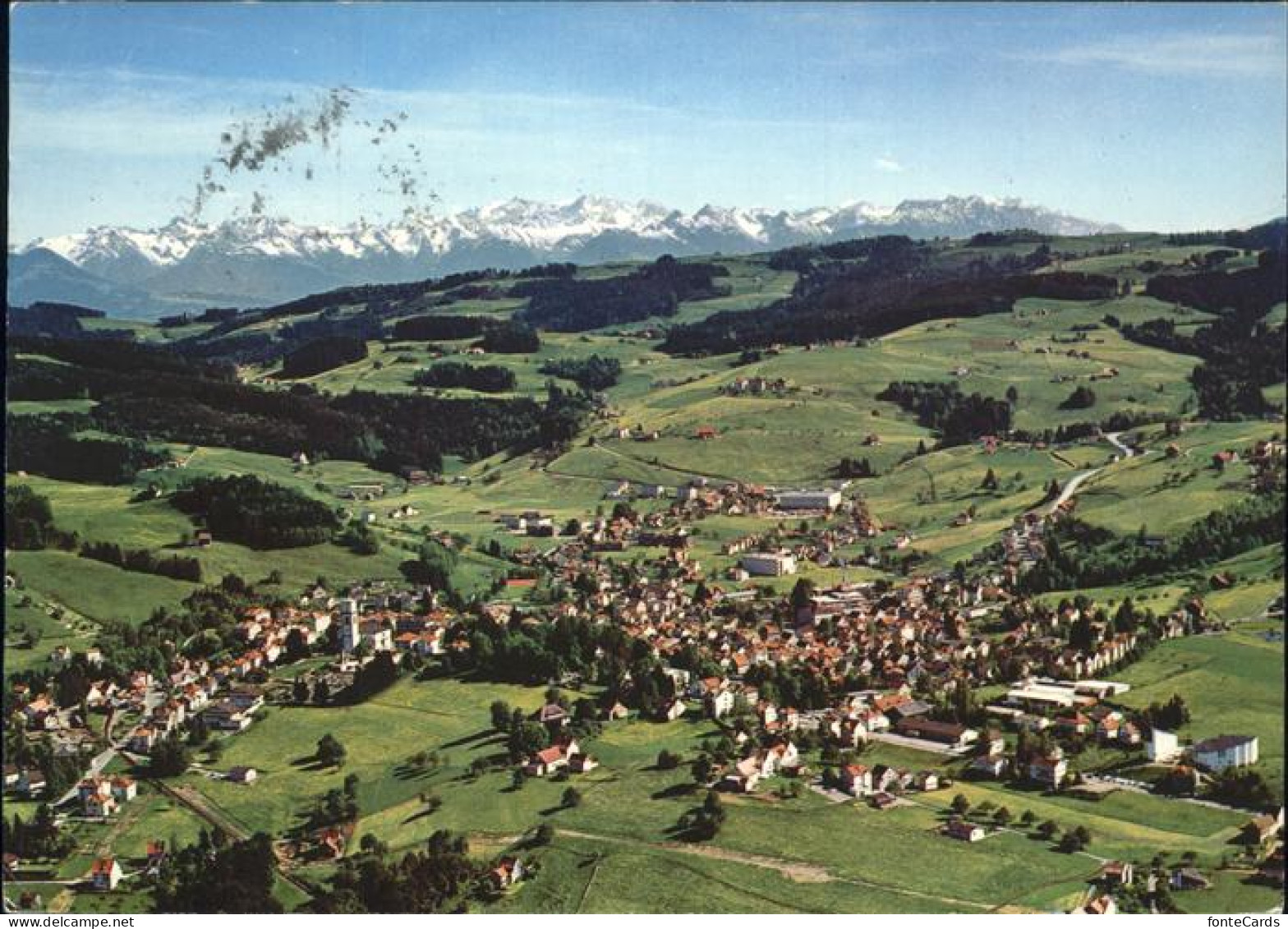 11435005 Heiden AR Fliegeraufnahme Alpenpanorama Heiden - Altri & Non Classificati