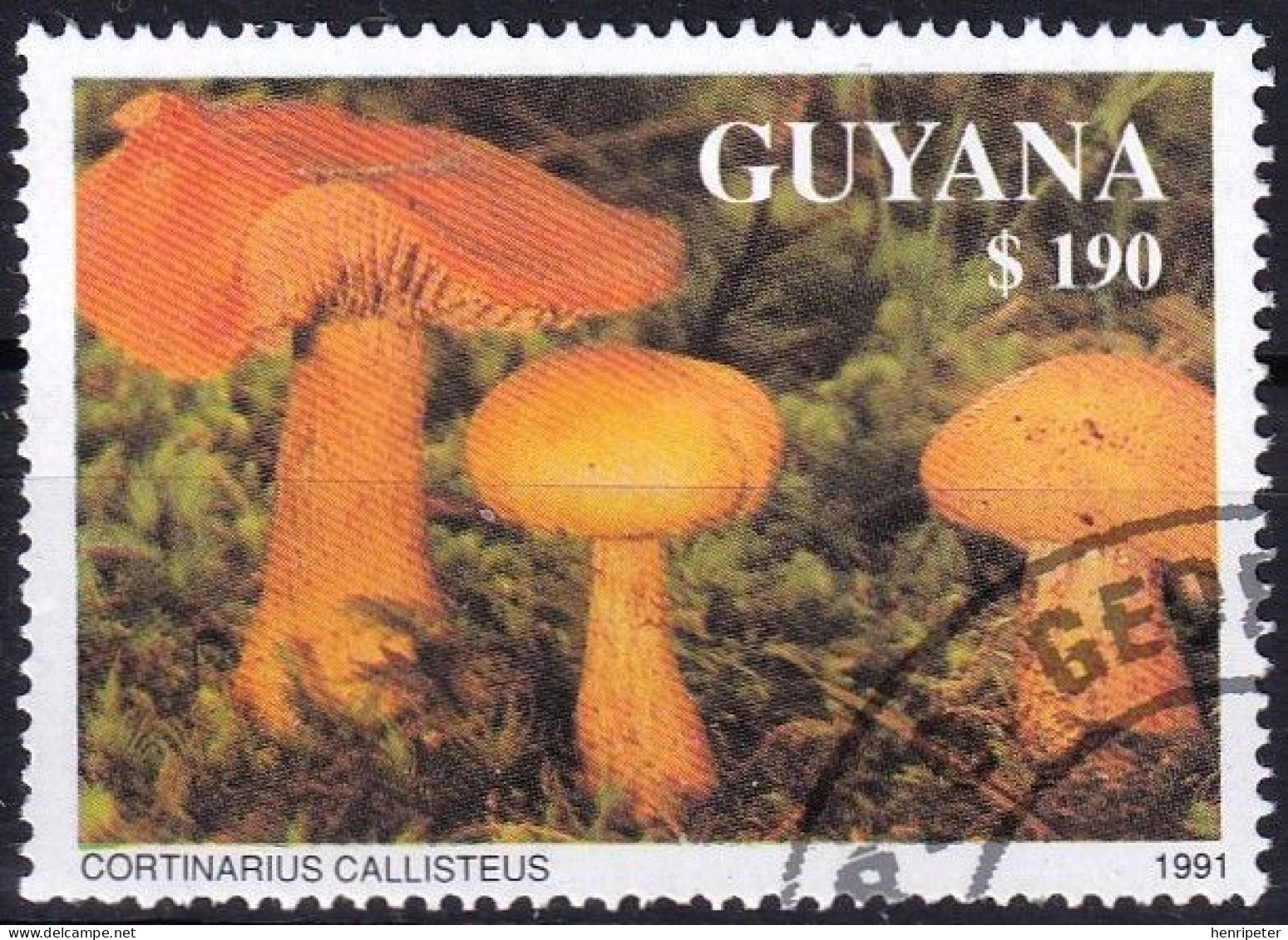 T.-P. Dentelé Oblitéré Champignons Cortinaire à Odeur De Pressing Cortinarius Callisteus  N° 3684 (Michel) - Guyana 1991 - Guyana (1966-...)