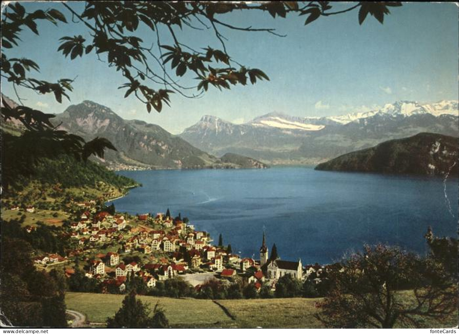 11434812 Weggis Vierwaldstaettersee Panorama Vierwaldstaettersee Und Die Alpen W - Sonstige & Ohne Zuordnung