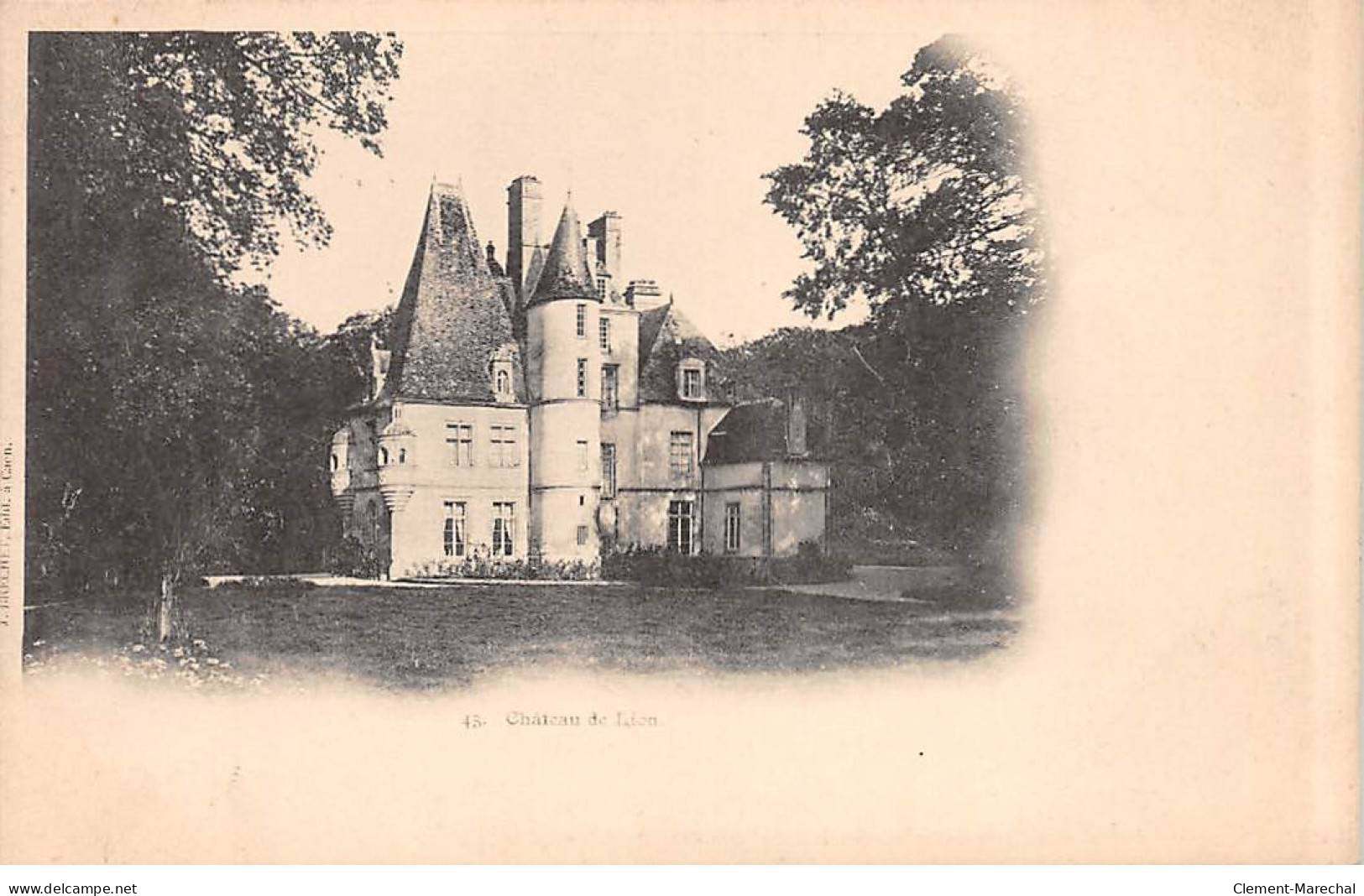 Château De LION - Très Bon état - Other & Unclassified