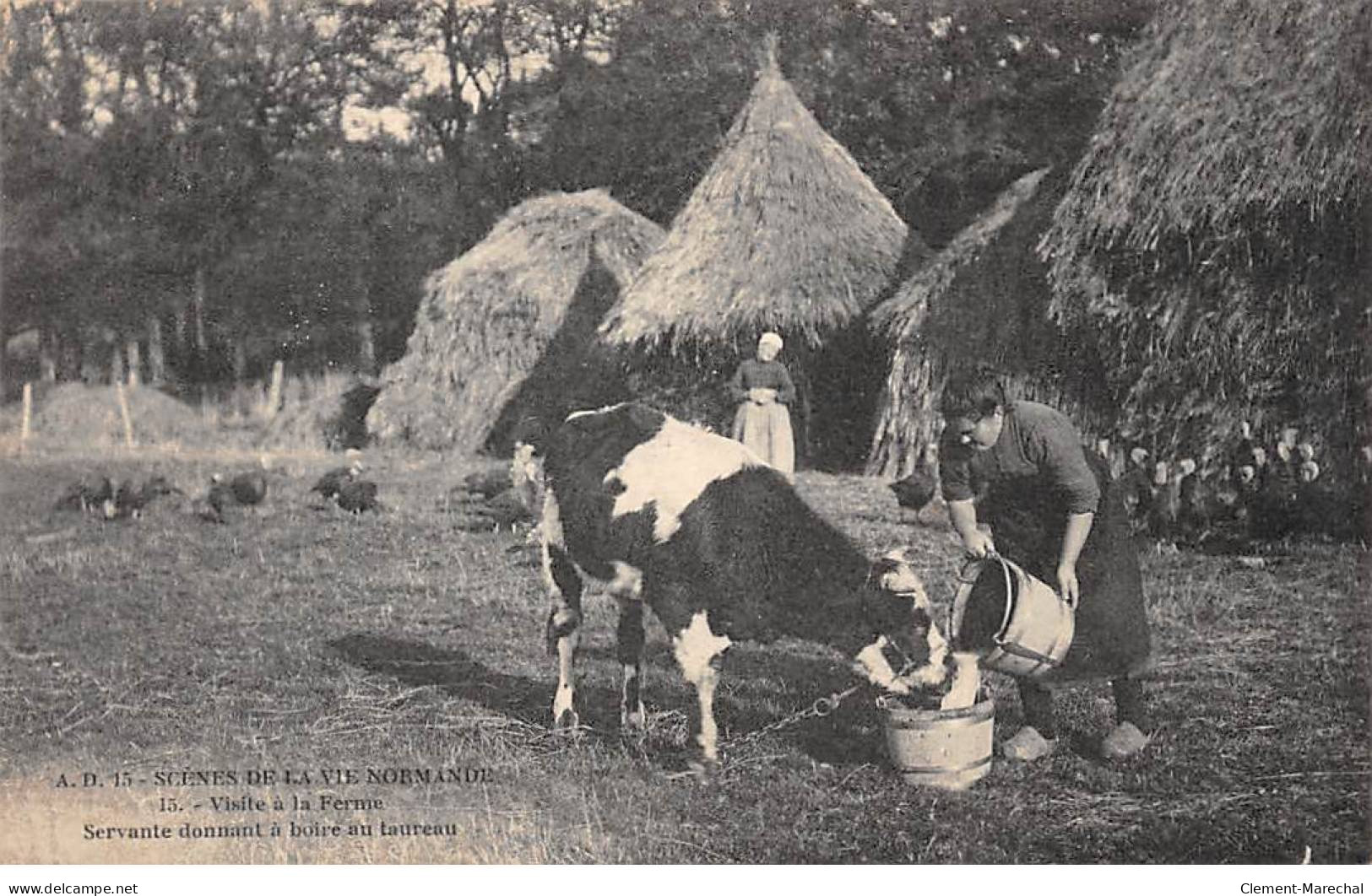 Scènes De La Vie Normande - Visite à La Ferme - Servante Donnant à Boire Au Taureau - Très Bon état - Otros & Sin Clasificación