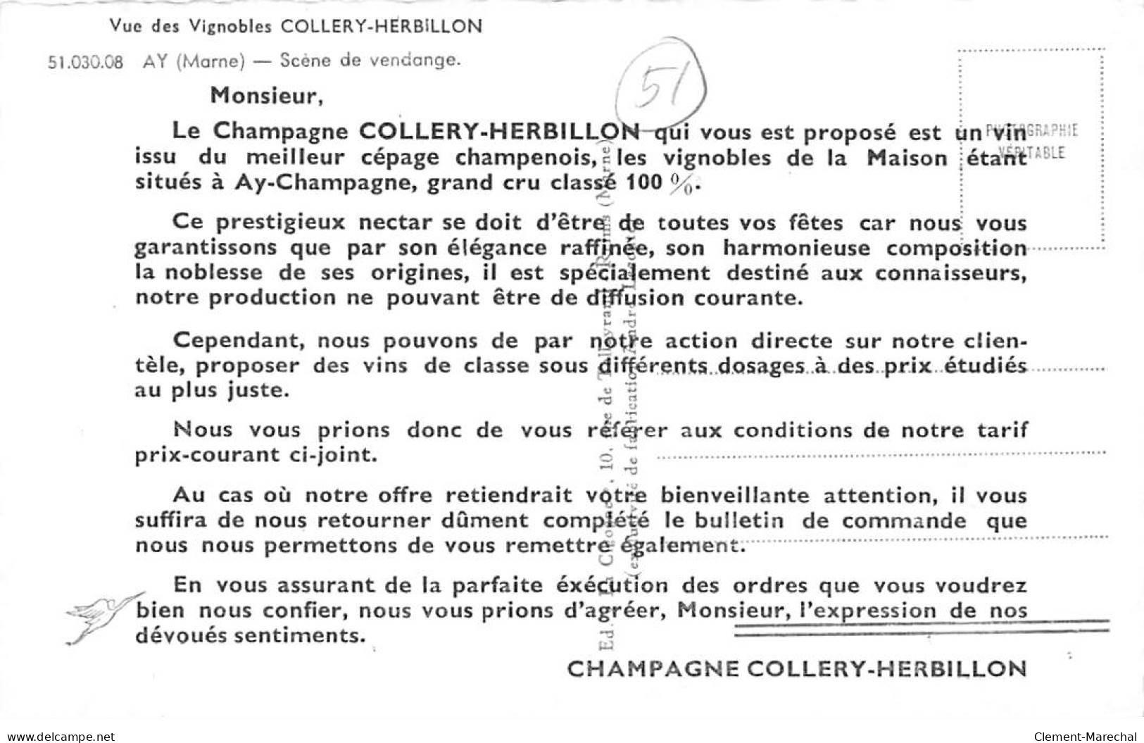 AY - Scène De Vendange - Vue Des Vignobles Collery Herbillon - Très Bon état - Ay En Champagne