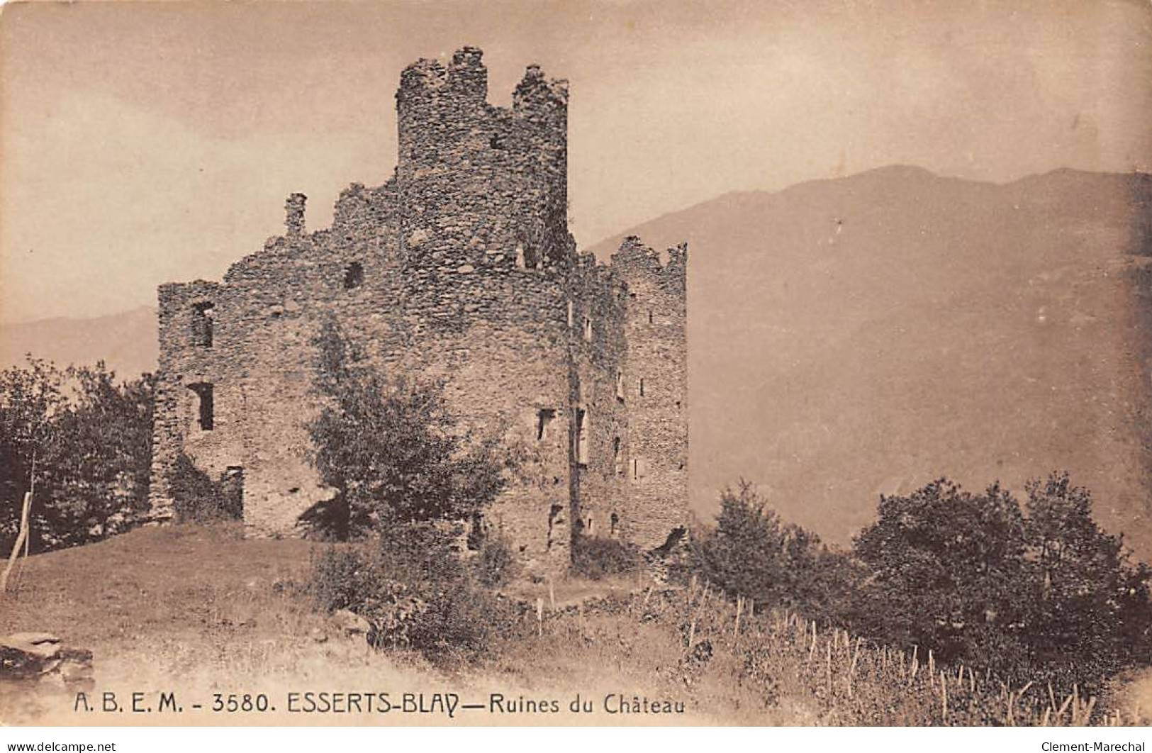 ESSERTS BLAY - Ruines Du Château - Très Bon état - Other & Unclassified