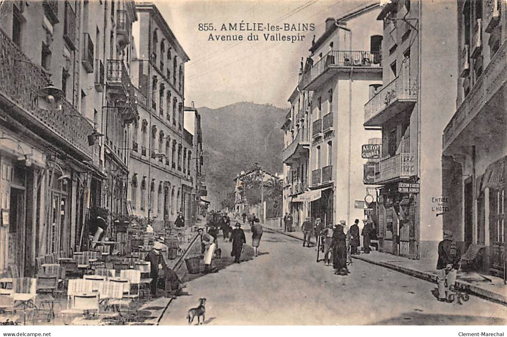 AMELIE LES BAINS - Avenue De Vallespir - Très Bon état - Autres & Non Classés