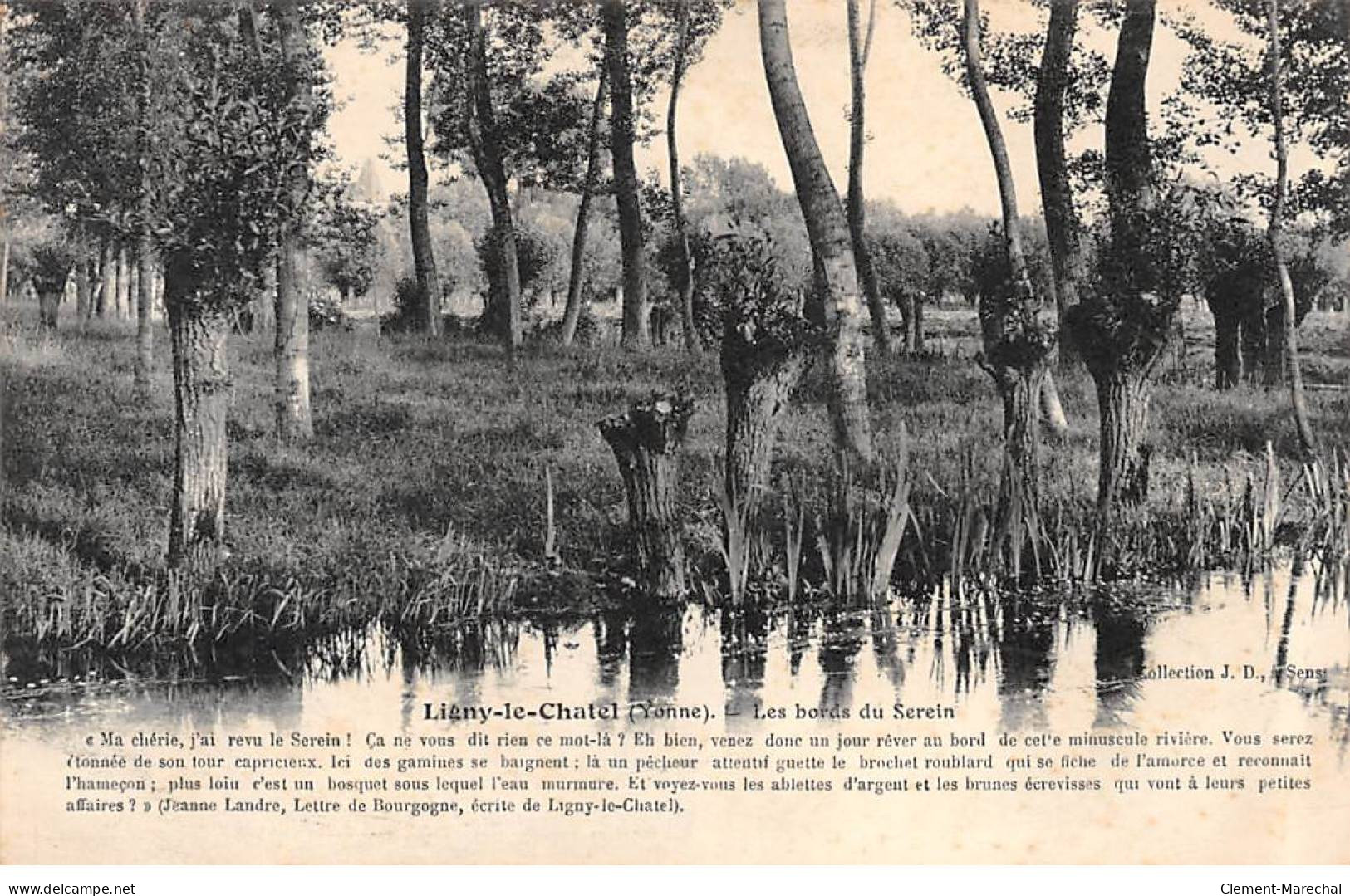 LIGNY LE CHATEL - Les Bords Du Serein - Très Bon état - Ligny Le Chatel