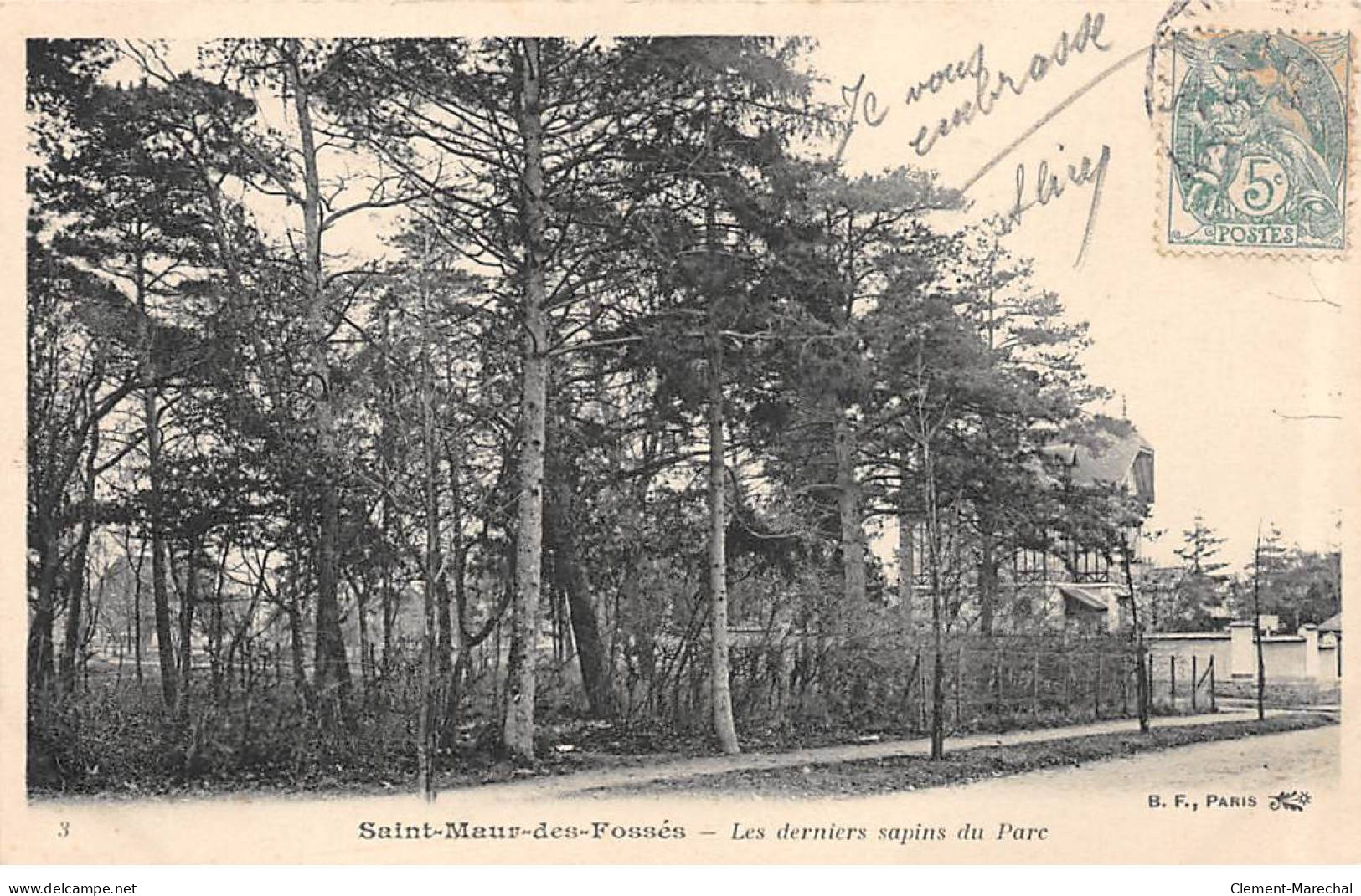 SAINT MAUR DES FOSSES - Les Derniers Sapins Du Parc - Très Bon état - Saint Maur Des Fosses