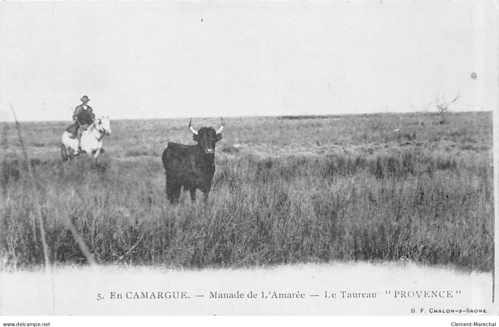 EN CAMARGUE - Manade De L'Amarée - Le Taureau " PROVENCE " - Très Bon état - Autres & Non Classés