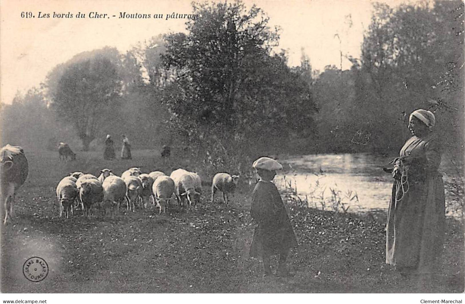 Les Bords Du Cher - Moutons Au Pâturage - Très Bon état - Sonstige & Ohne Zuordnung
