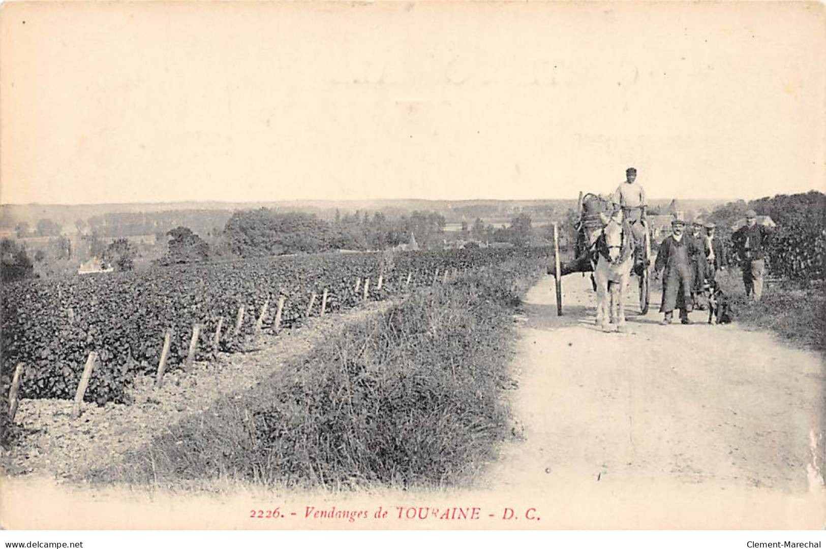 Vendanges De TOURAINE - Très Bon état - Sonstige & Ohne Zuordnung