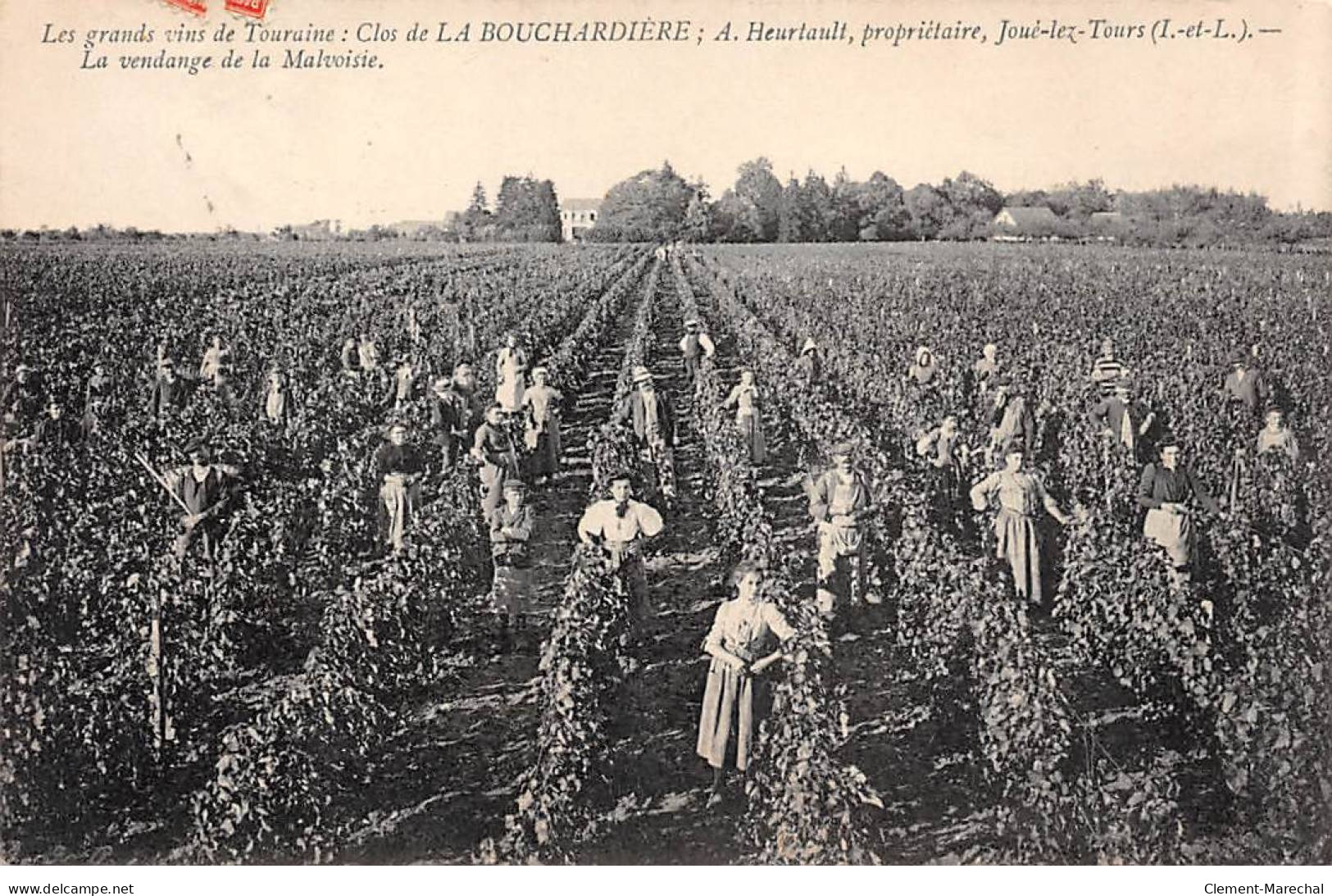 Les Grands Vins De Touraine - Clos De LA BOUCHARDIERE - La Vendange De La Mavoisie - Très Bon état - Andere & Zonder Classificatie