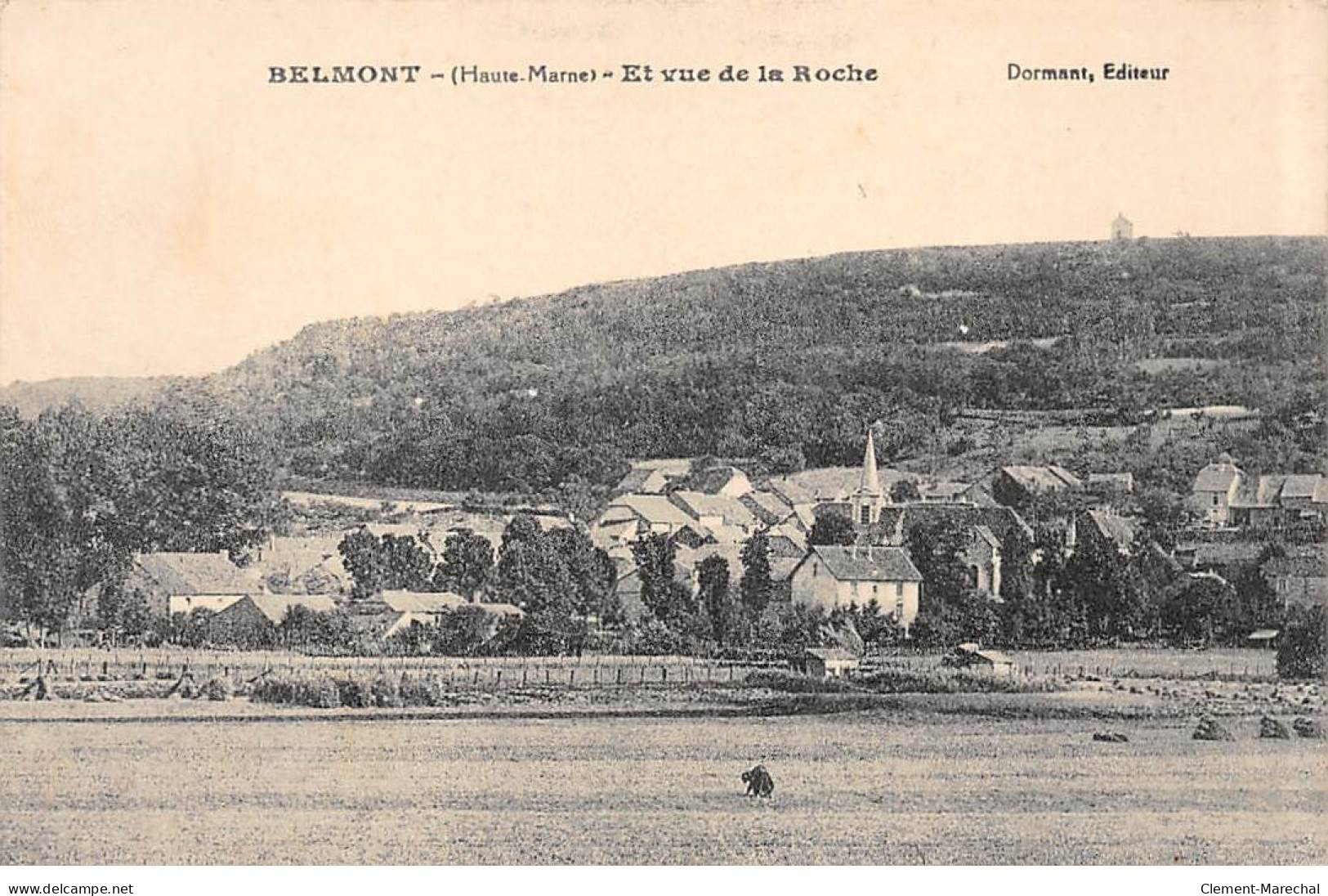 BELMONT - Et Vue De La Roche - Très Bon état - Sonstige & Ohne Zuordnung