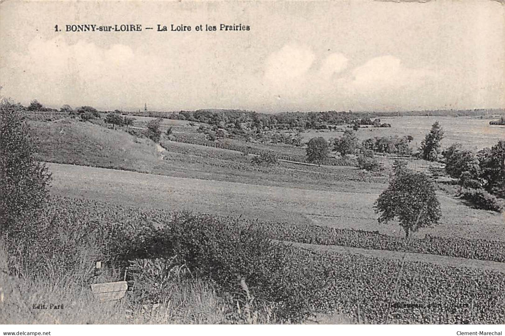 BONNY SUR LOIRE - La Loire Et Les Prairies - Très Bon état - Autres & Non Classés