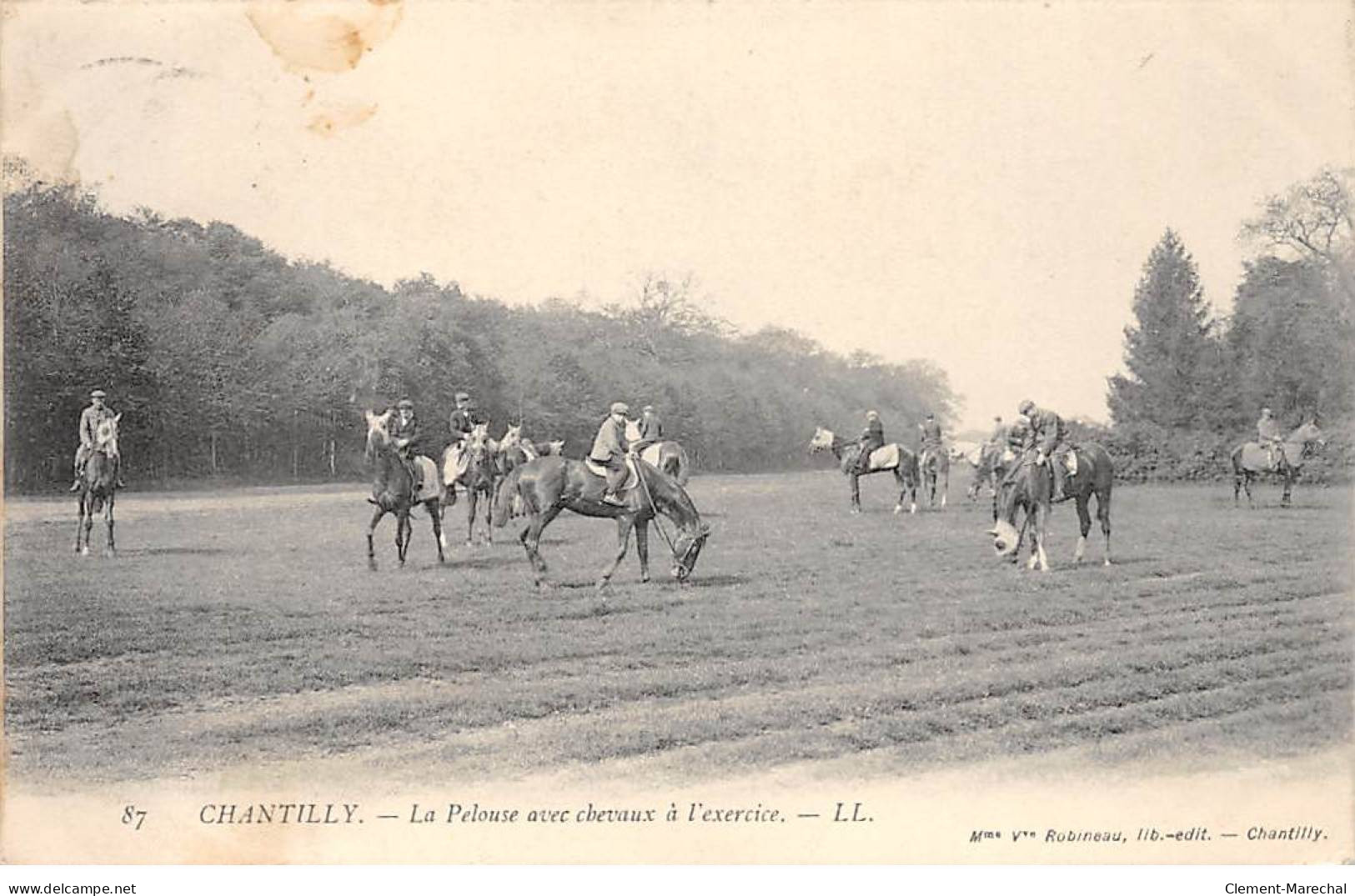 CHANTILLY - La Pelouse Avec Chevaux à L'exercice - Très Bon état - Chantilly