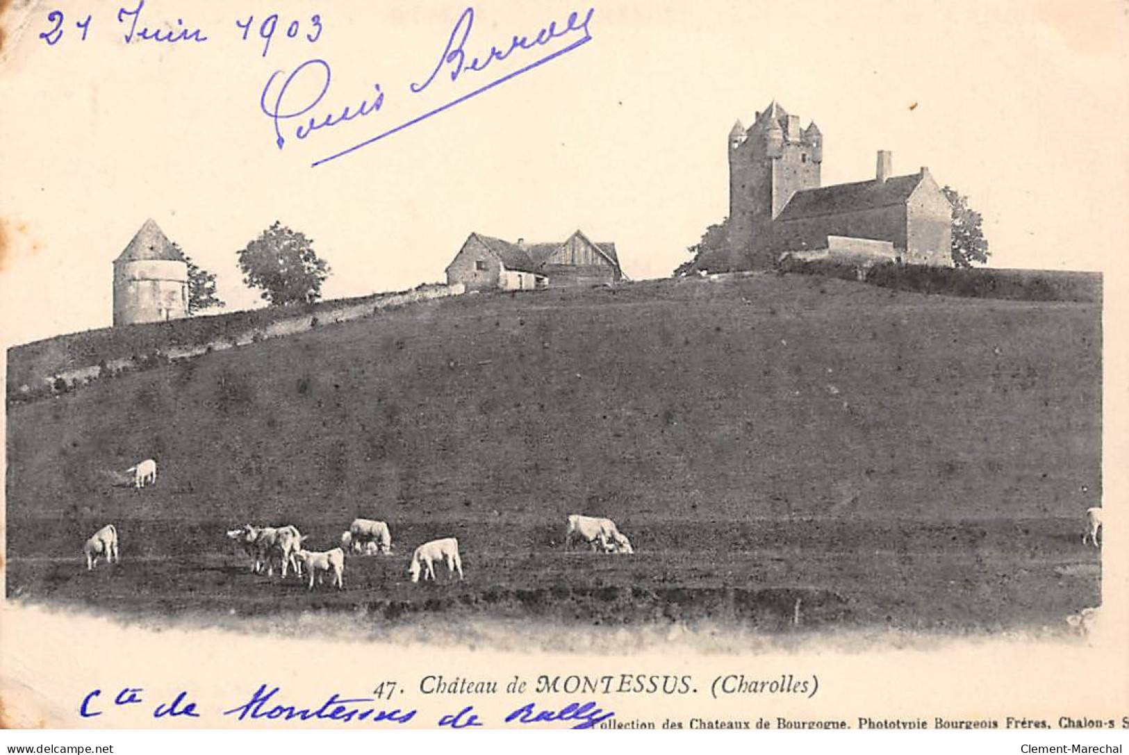CHAROLLES - Château De MONTESSUS - Très Bon état - Charolles