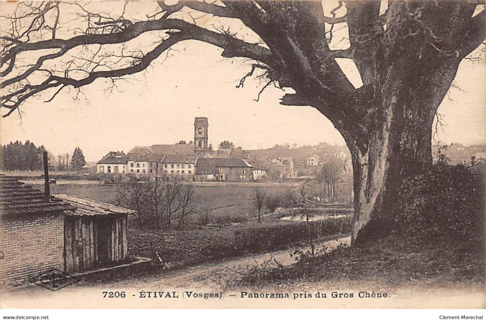 ETIVAL - Panorama Pris Du Gros Chêne - Très Bon état - Etival Clairefontaine