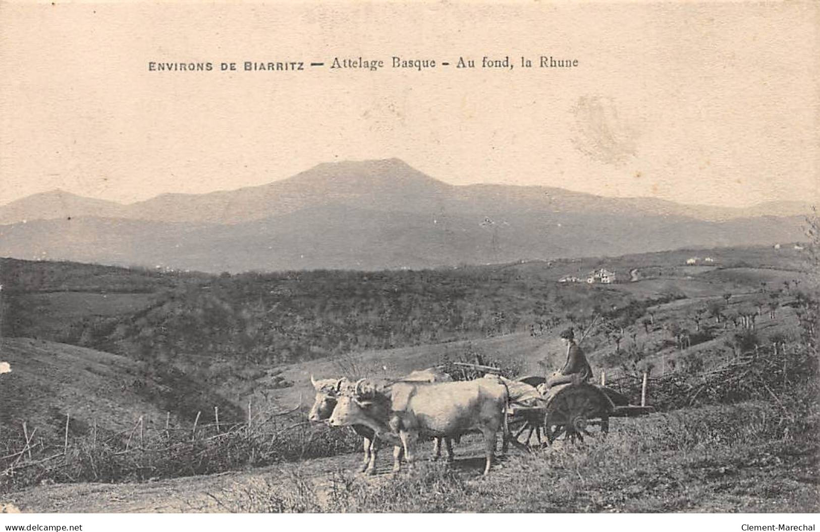 Environs De BIARRITZ - Attelage Basque - Au Fond, La Rhune - Très Bon état - Andere & Zonder Classificatie