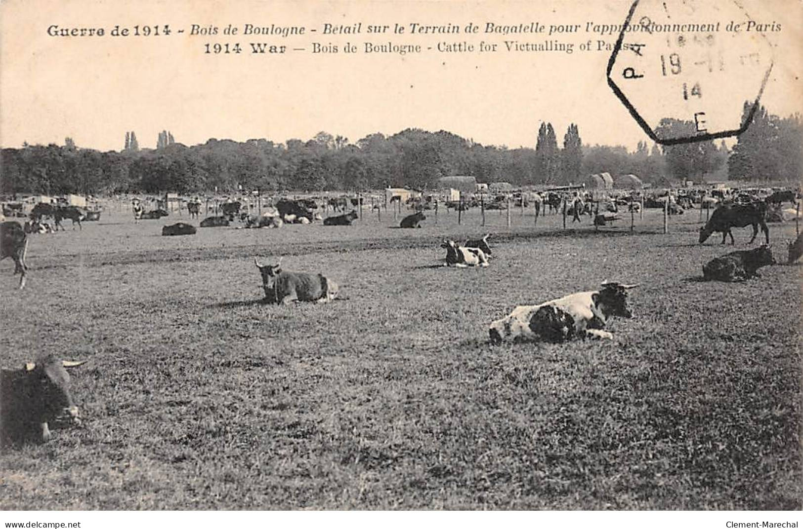 Guerre De 1914 - BOIS DE BOULOGNE - Bétail Sur Le Terrain De Bagatelle - Très Bon état - Sonstige & Ohne Zuordnung
