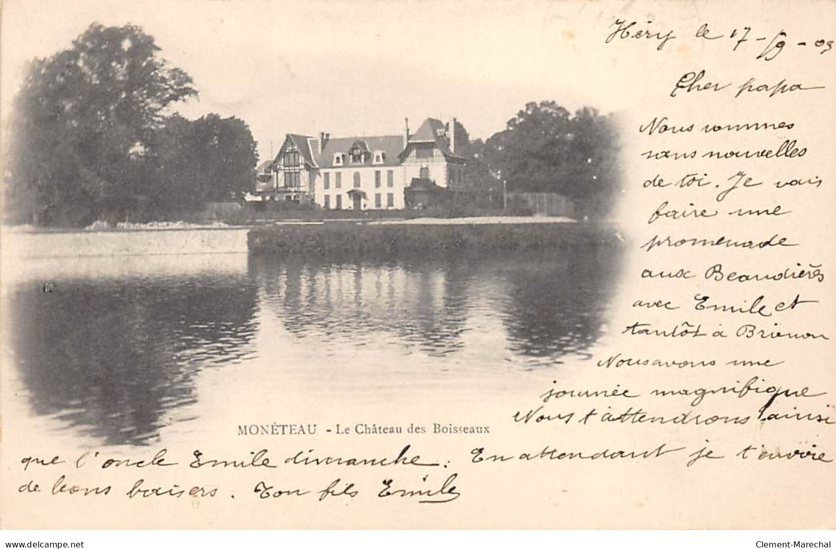 MONETEAU - Le Château Des Boisseaux - Très Bon état - Moneteau