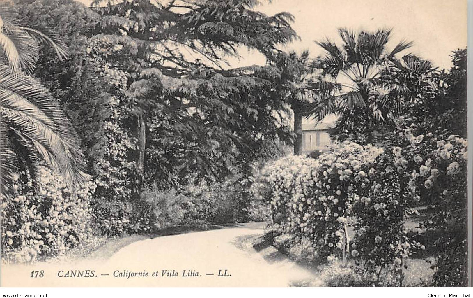 CANNES - Californie Et Villa Lilia - Très Bon état - Cannes