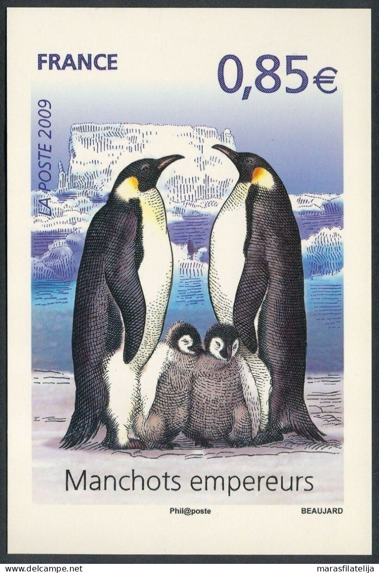 France 2009, Antarctic, Emperor Penguins, Stationery Card - Altri & Non Classificati