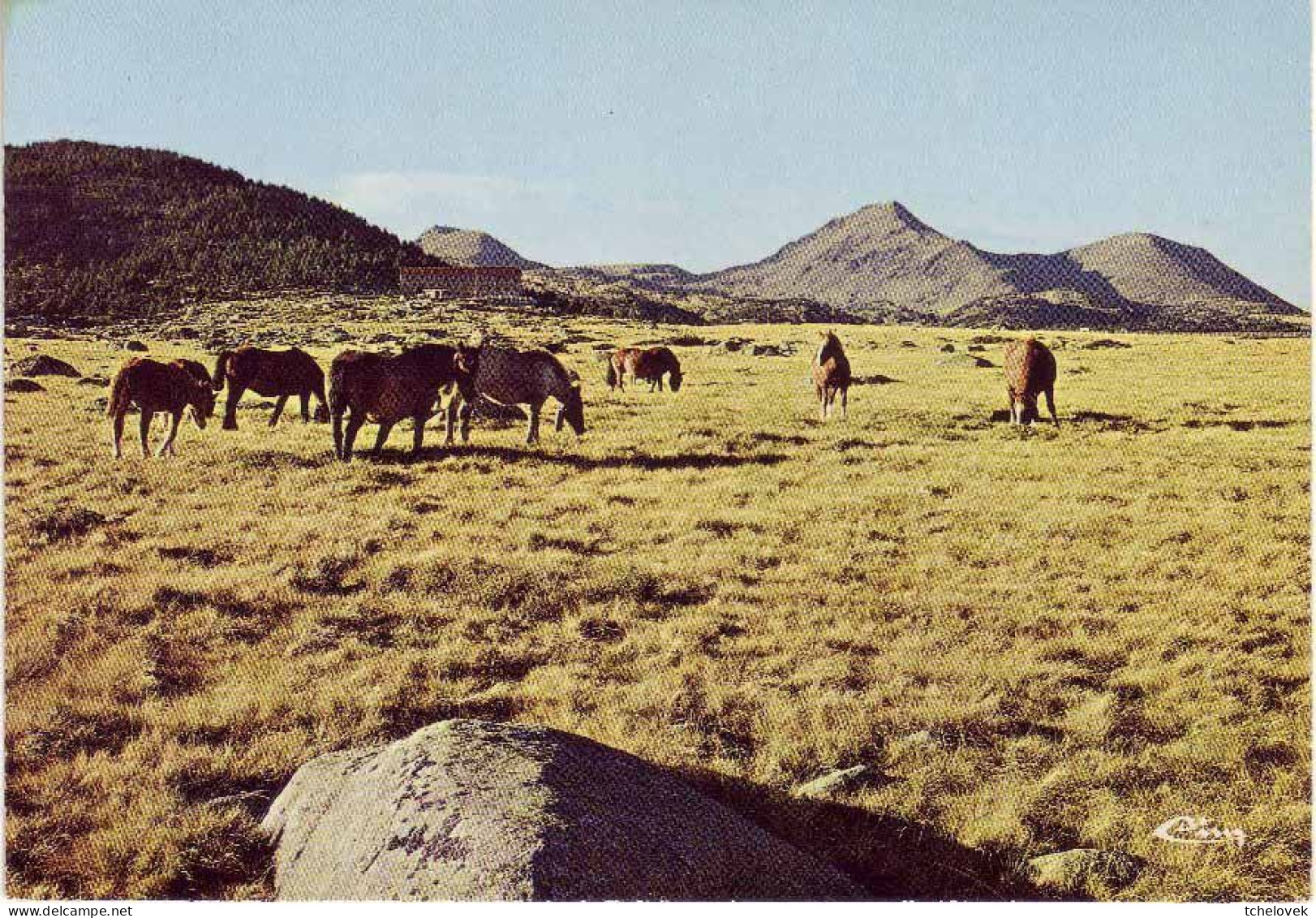 (66). E 66.1 Ed CIM. Chevaux Sauvages Du Carlit & 1228 E Massif Du Carlit - Sonstige & Ohne Zuordnung