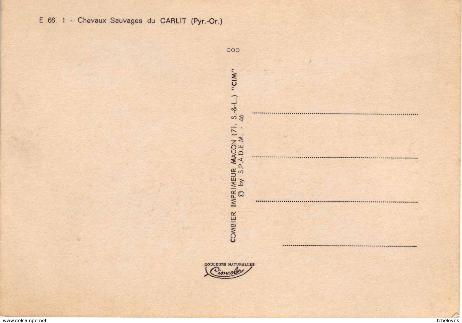 (66). E 66.1 Ed CIM. Chevaux Sauvages Du Carlit & 1228 E Massif Du Carlit - Other & Unclassified