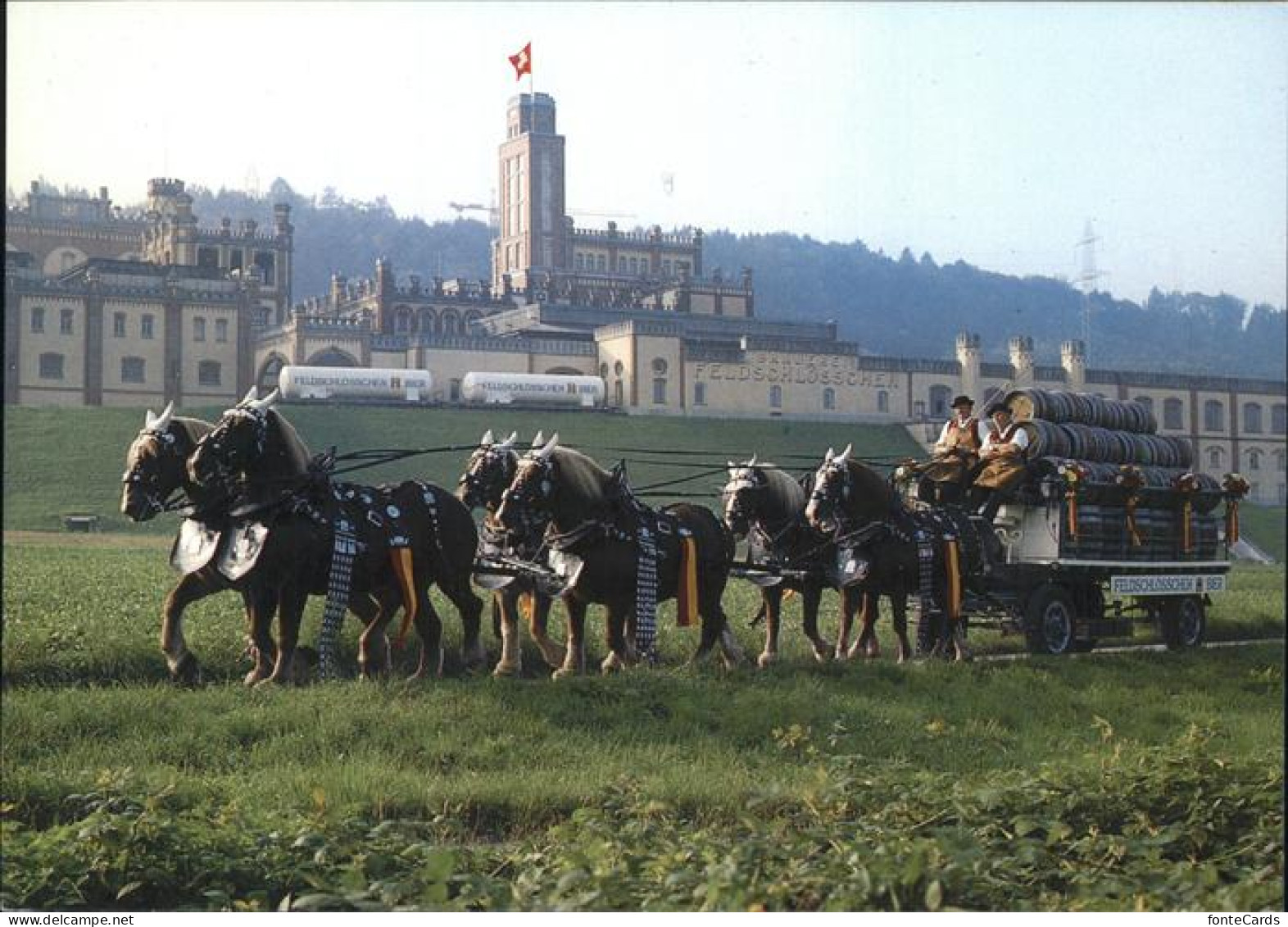 11395448 Rheinfelden AG Brauerei Feldschloesschen Sechsspaenner Rheinfelden - Other & Unclassified