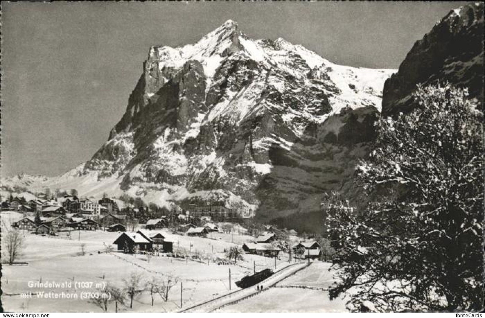 11395395 Grindelwald Wetterhorn Grindelwald - Autres & Non Classés