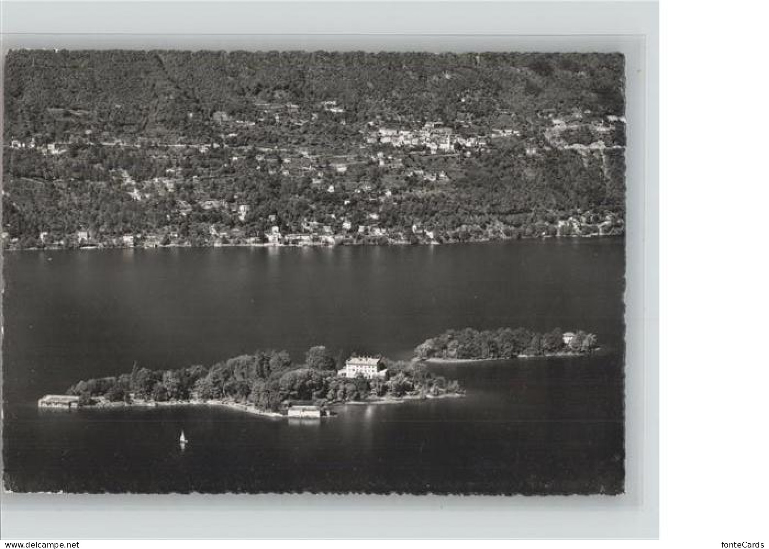 11389468 Brissago TI Parco Botanico Del Cantone Ticino Lago Maggiore Brissago - Other & Unclassified