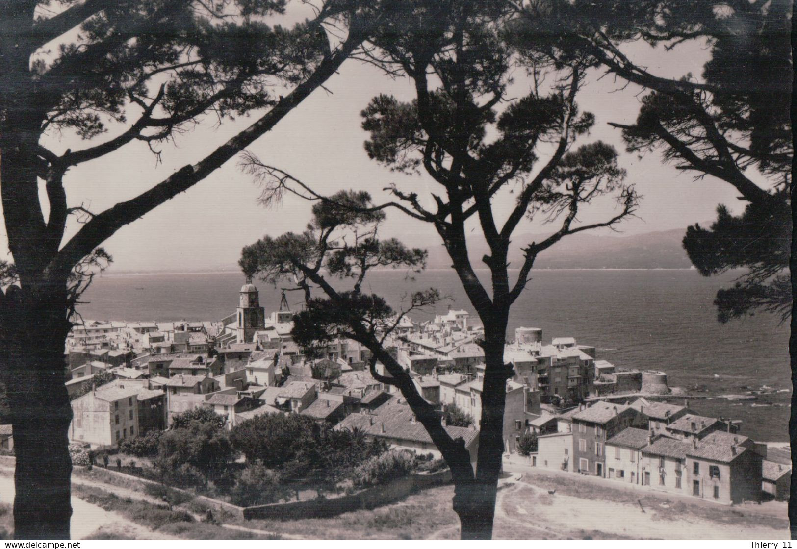 Cpsm 83 Saint Tropez Vue Générale Prise Du Fort - Saint-Tropez