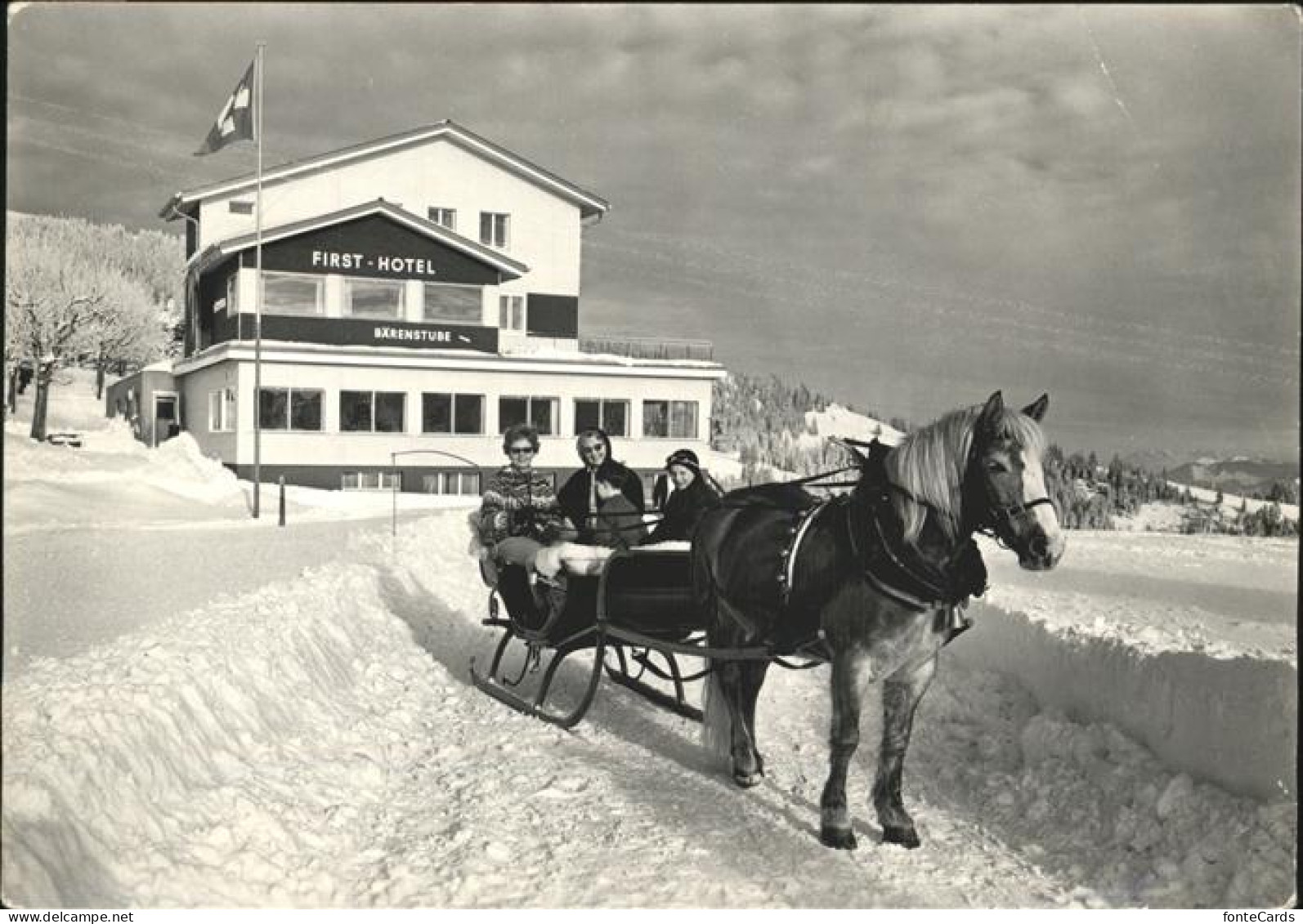 11385993 Vitznau First Hotel Rigi Pferdeschlitten Vitznau - Altri & Non Classificati