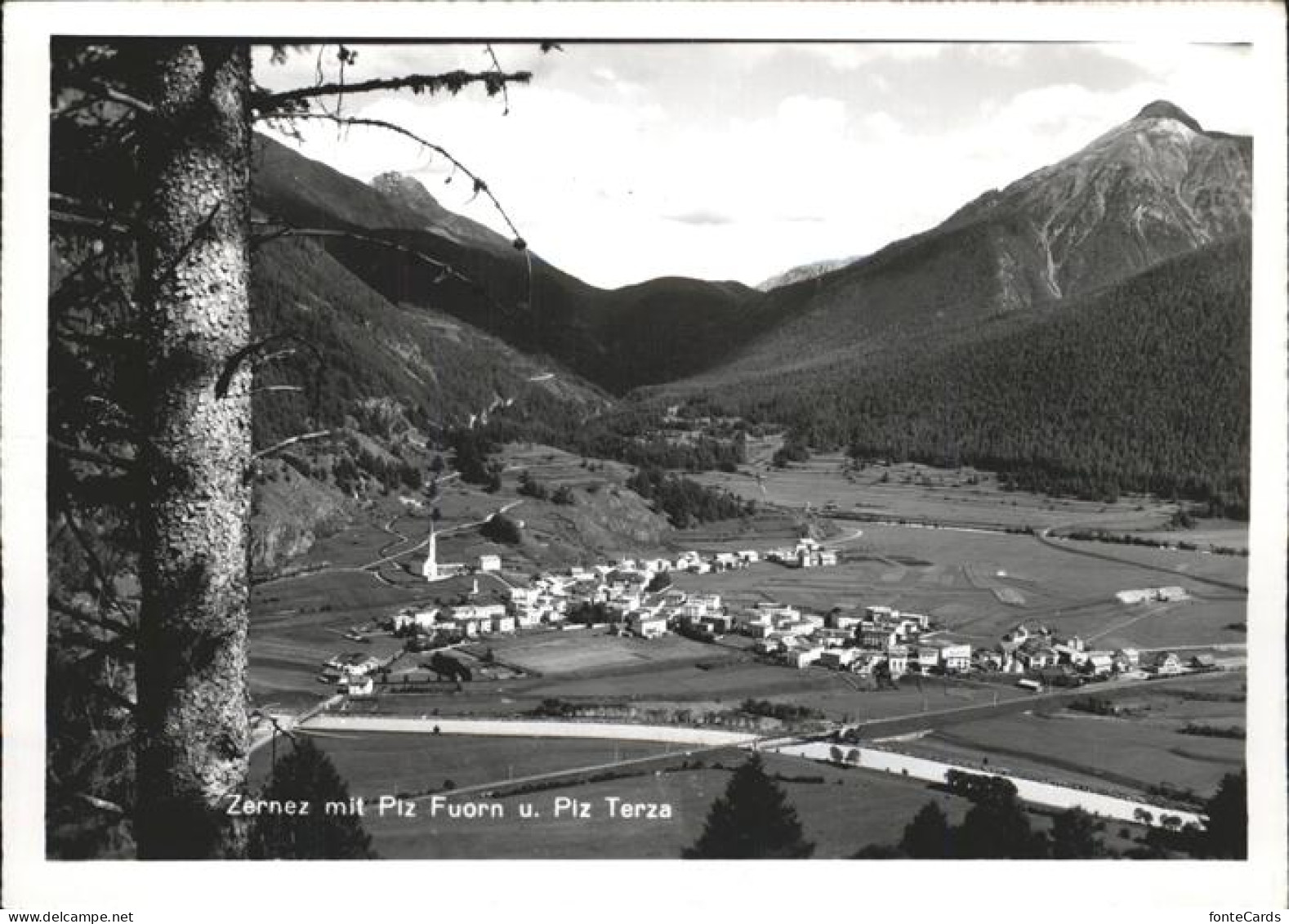 11385986 Zernez GR Panorama Mit Piz Fuorn Und Piz Terza Zernez - Otros & Sin Clasificación