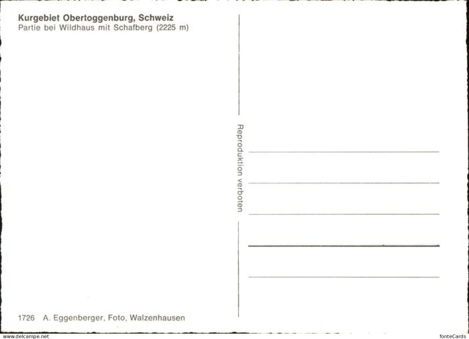 11385857 Wildhaus SG Kurgebiet Obertoggenburg Schafberg Kuhweide Wildhaus - Autres & Non Classés