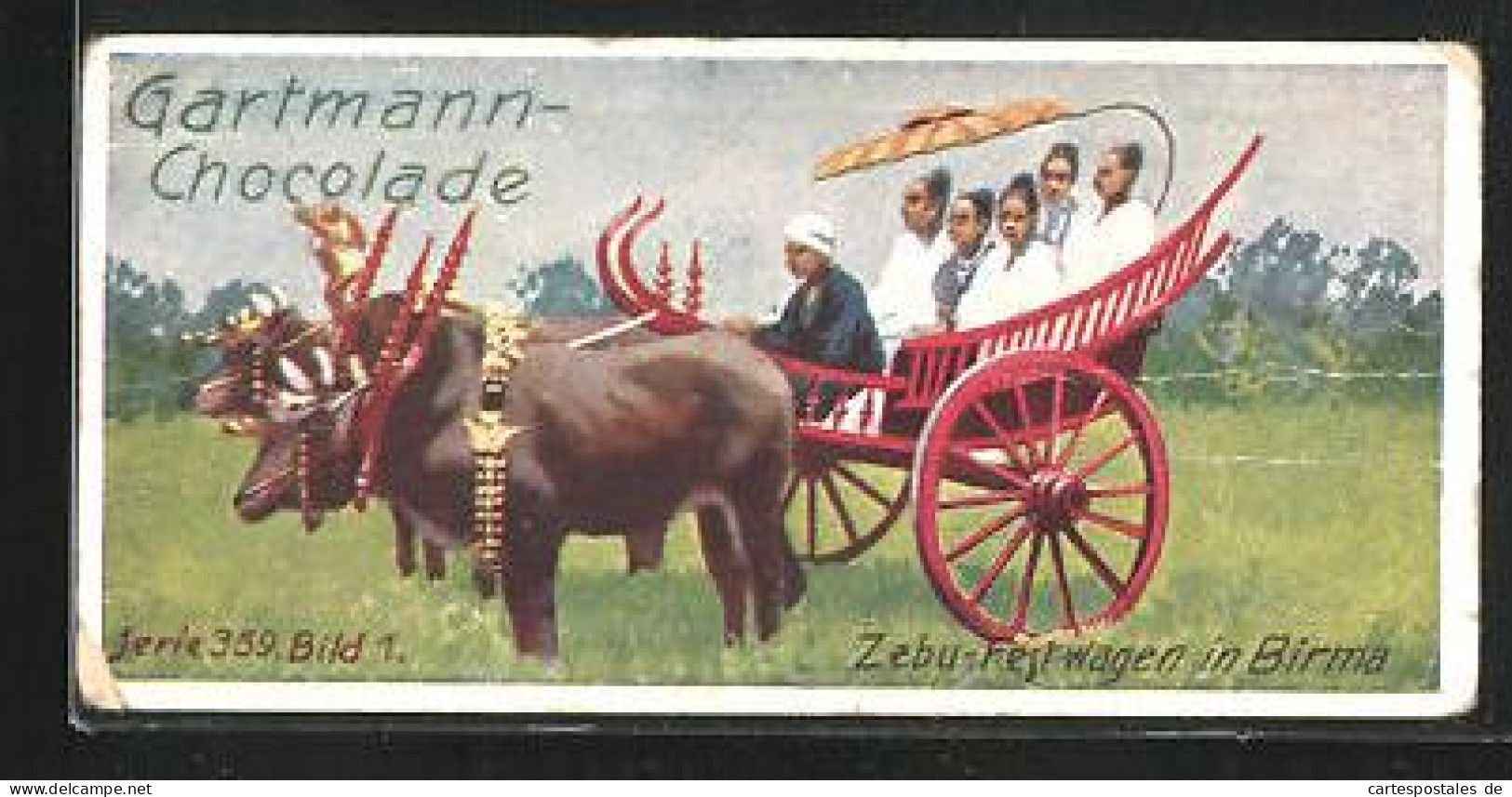 Sammelbild Gartmann-Schokolade, Zugtiere, Zebu-Festwagen In Birma, Asien, Serie 359, Bild 1  - Sonstige & Ohne Zuordnung
