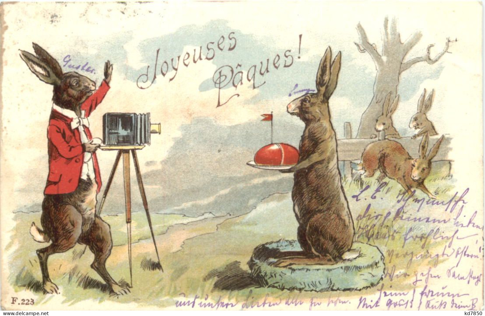 Ostern - Hasen - Fotokamera - Easter