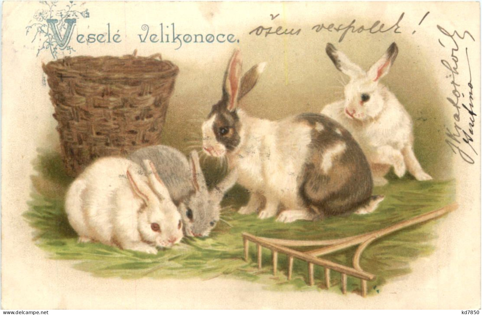 Ostern - Hasen - Easter