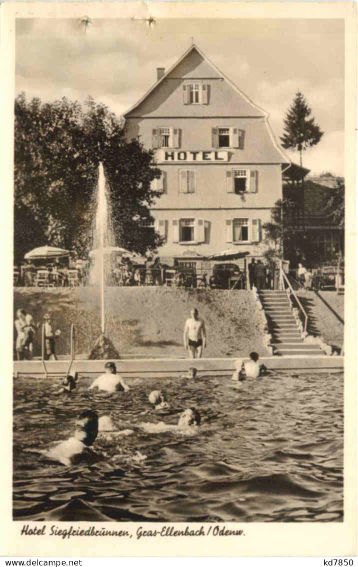 Gras-Ellenbach - Hotel Siegfriedbrunnen - Autres & Non Classés