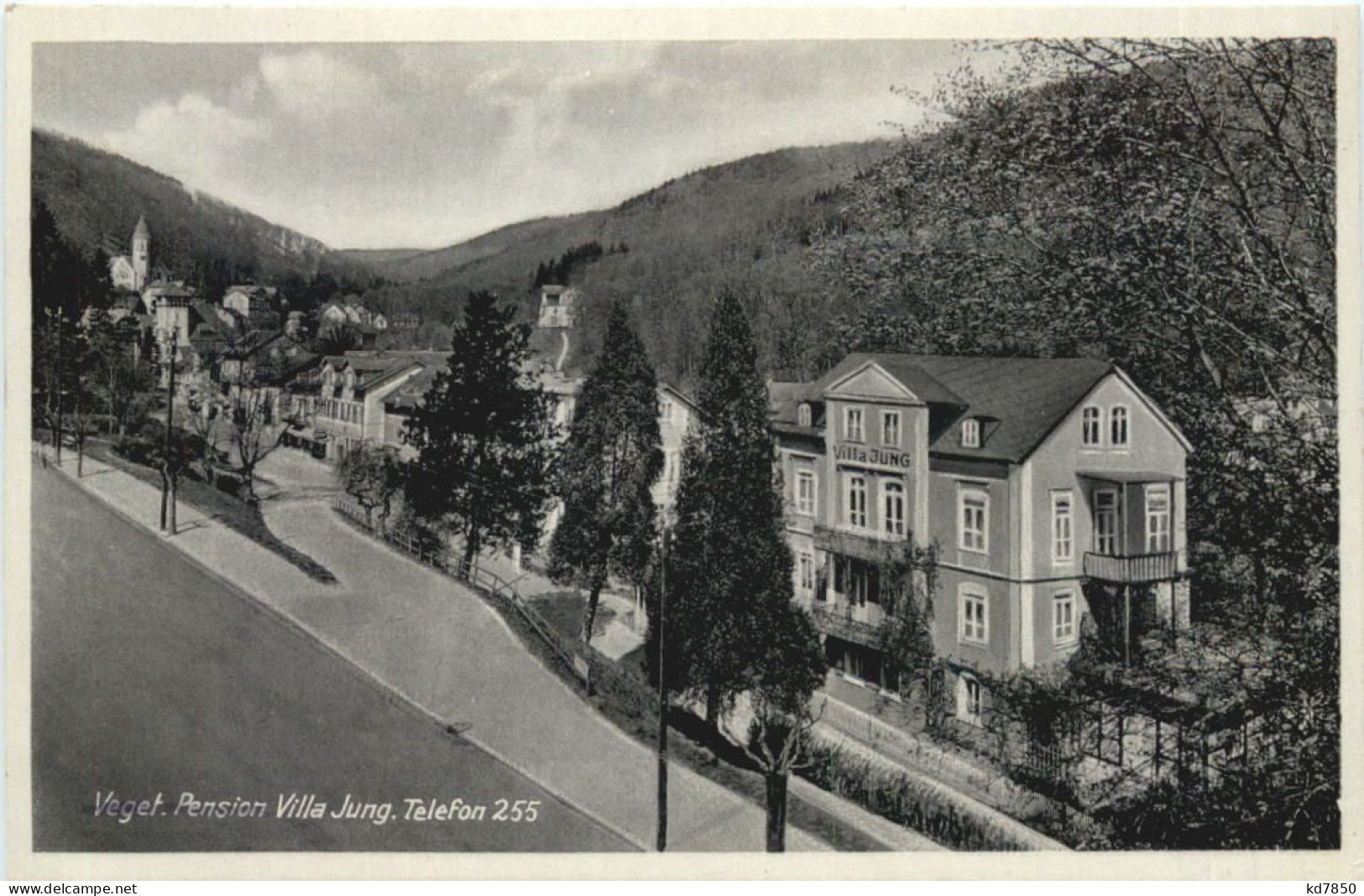 Schlangenbad Im Taunus - Vegetarische Pension Villa Jung - Schlangenbad